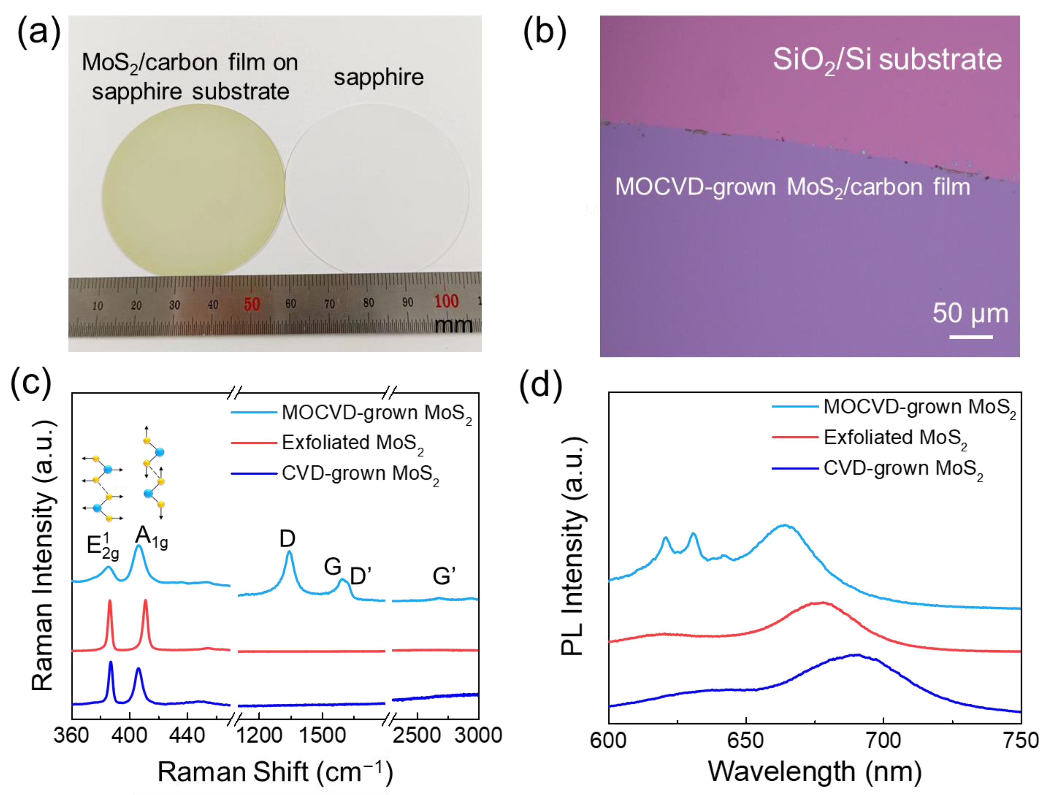 Materials 16 07030 g001