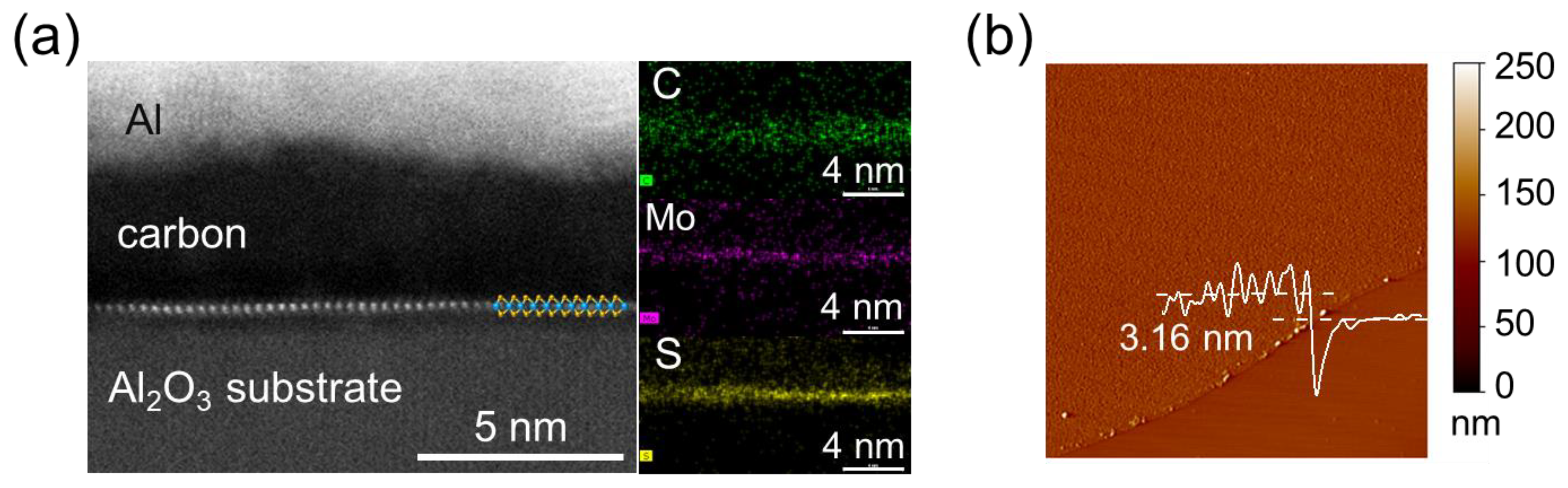 Materials 16 07030 g003