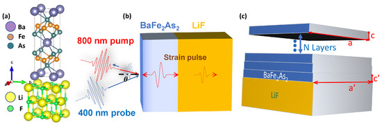 Materials 16 07031 g001