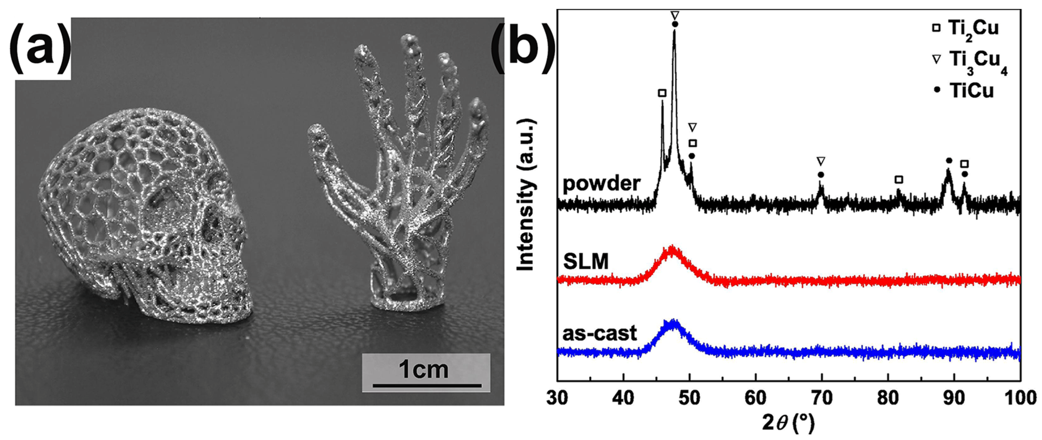 Materials 16 07034 g006