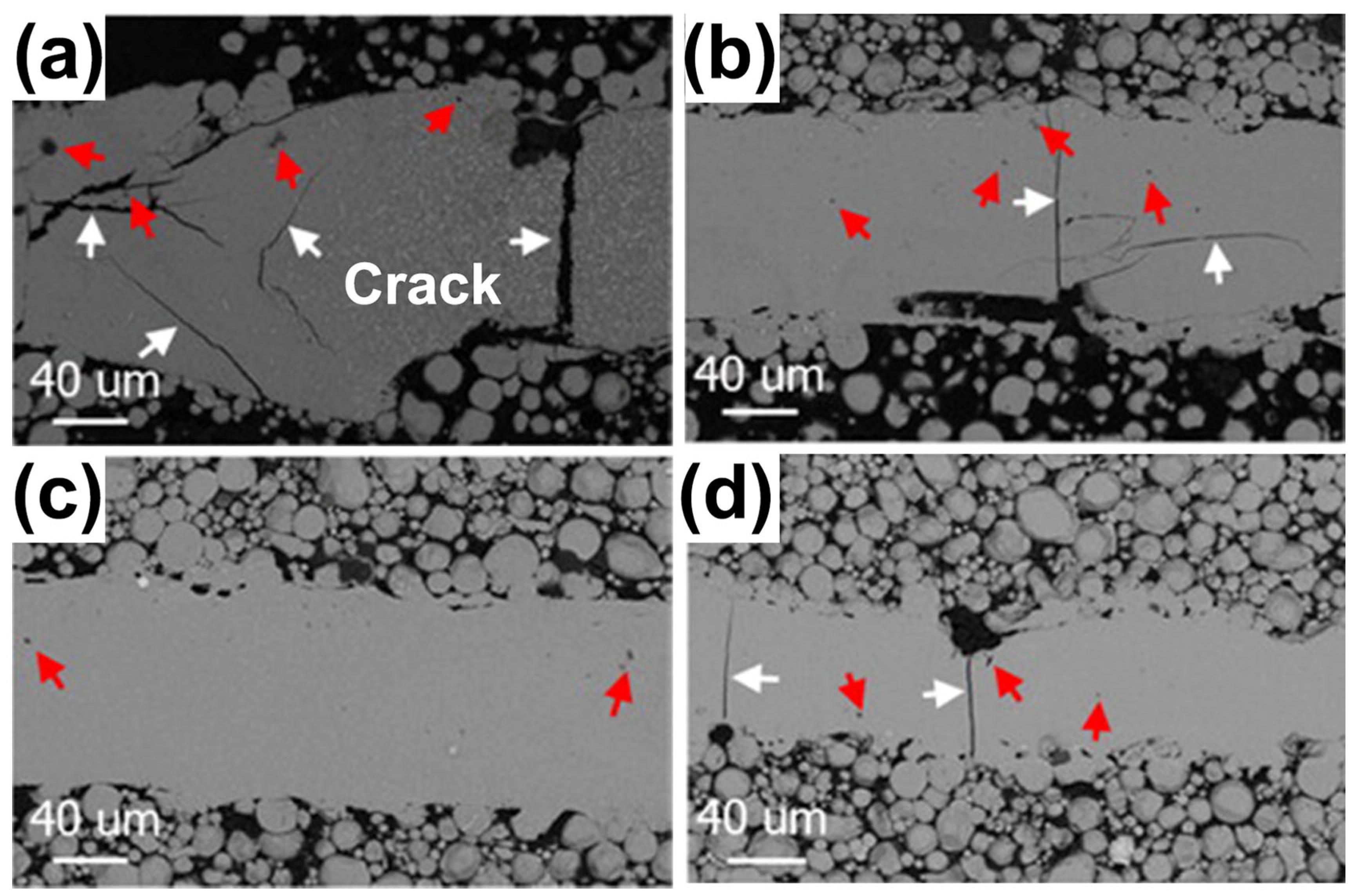 Materials 16 07034 g015