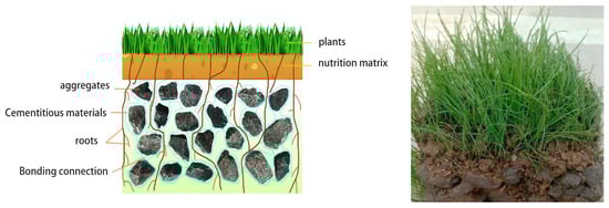 Materials 16 07039 g001
