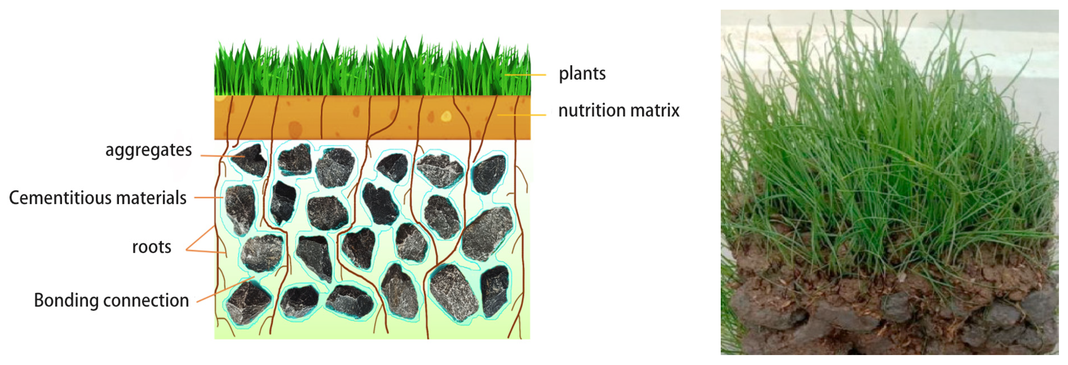 Materials 16 07039 g001