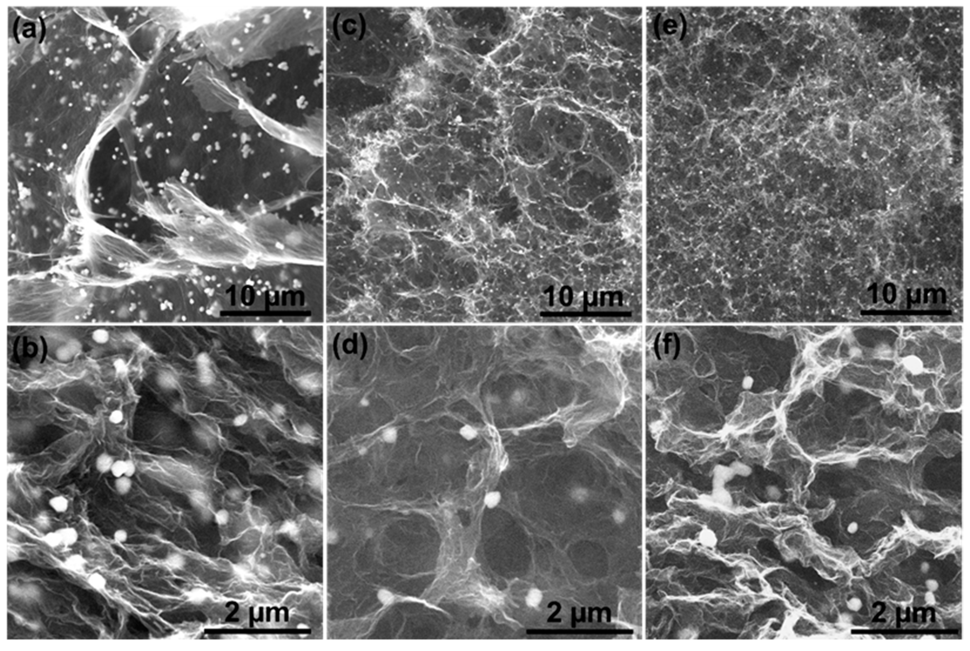 Materials 16 07042 g002