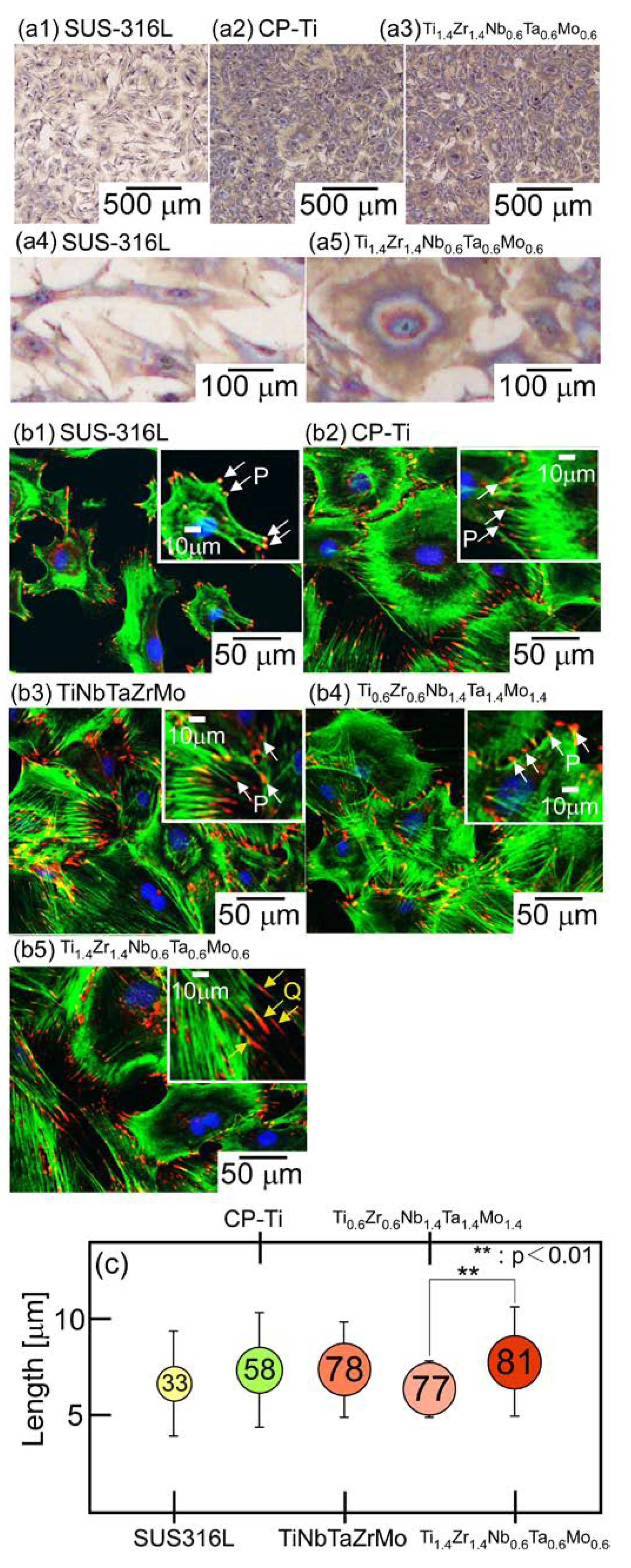 Materials 16 07046 g004