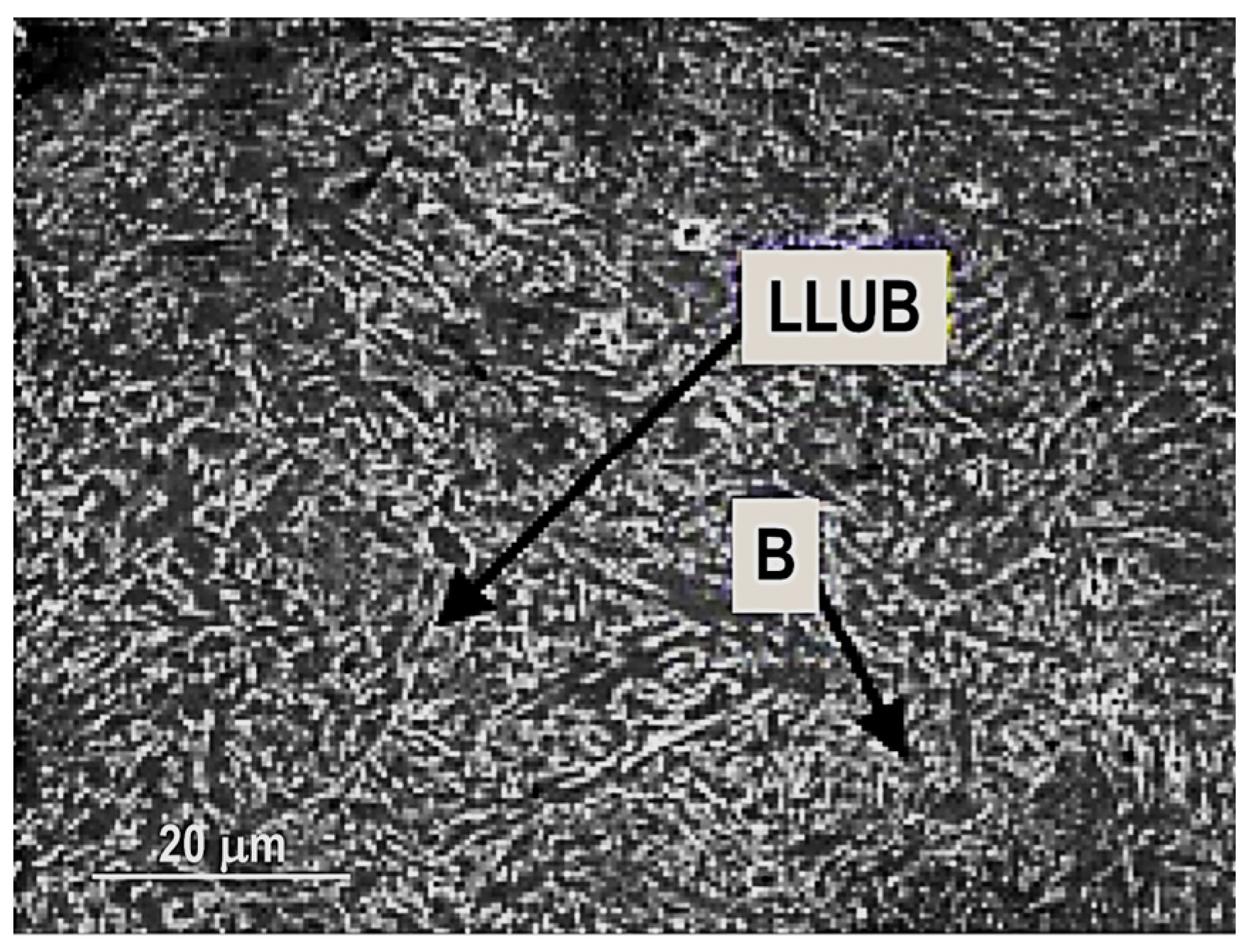 Materials 16 07054 g016