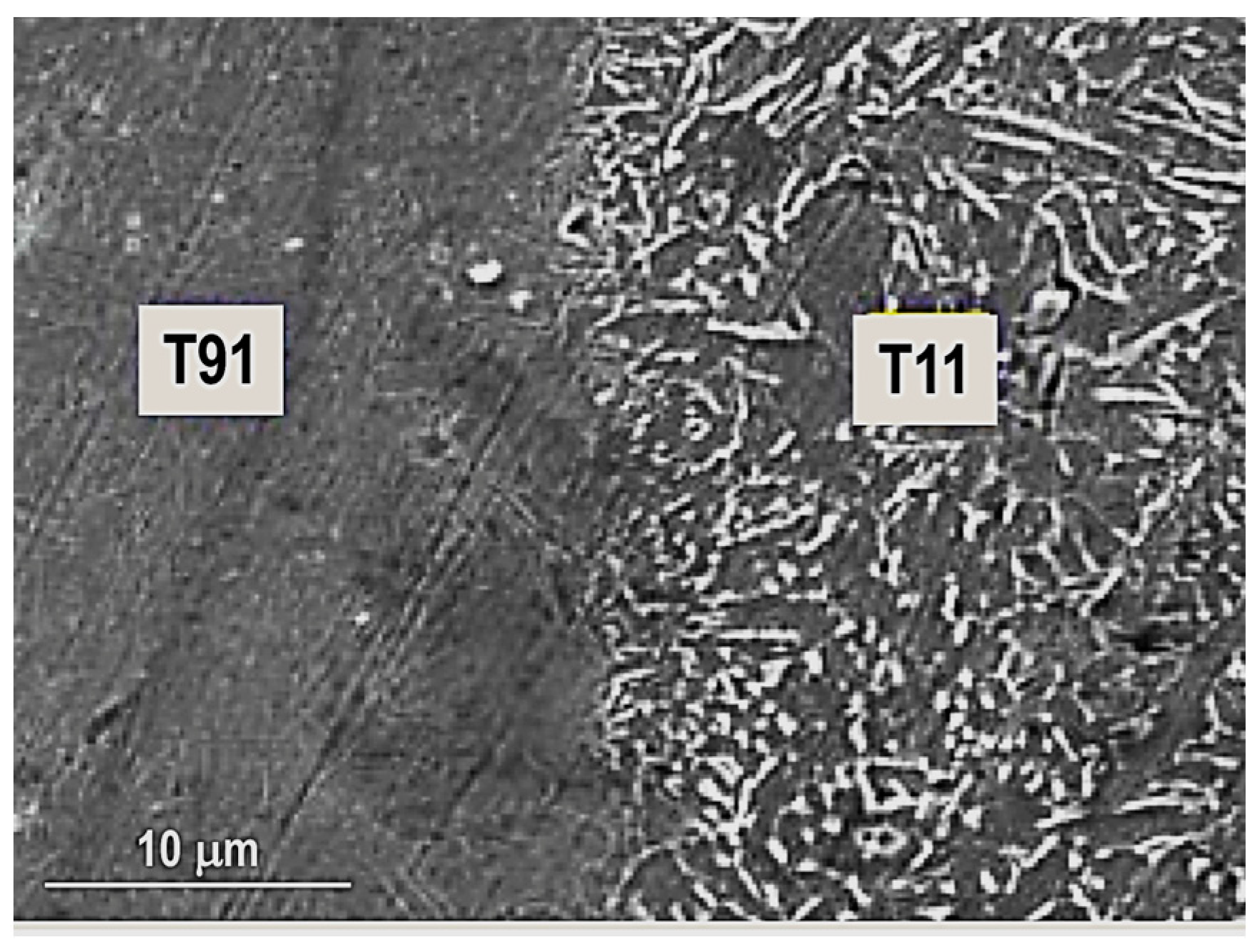 Materials 16 07054 g017