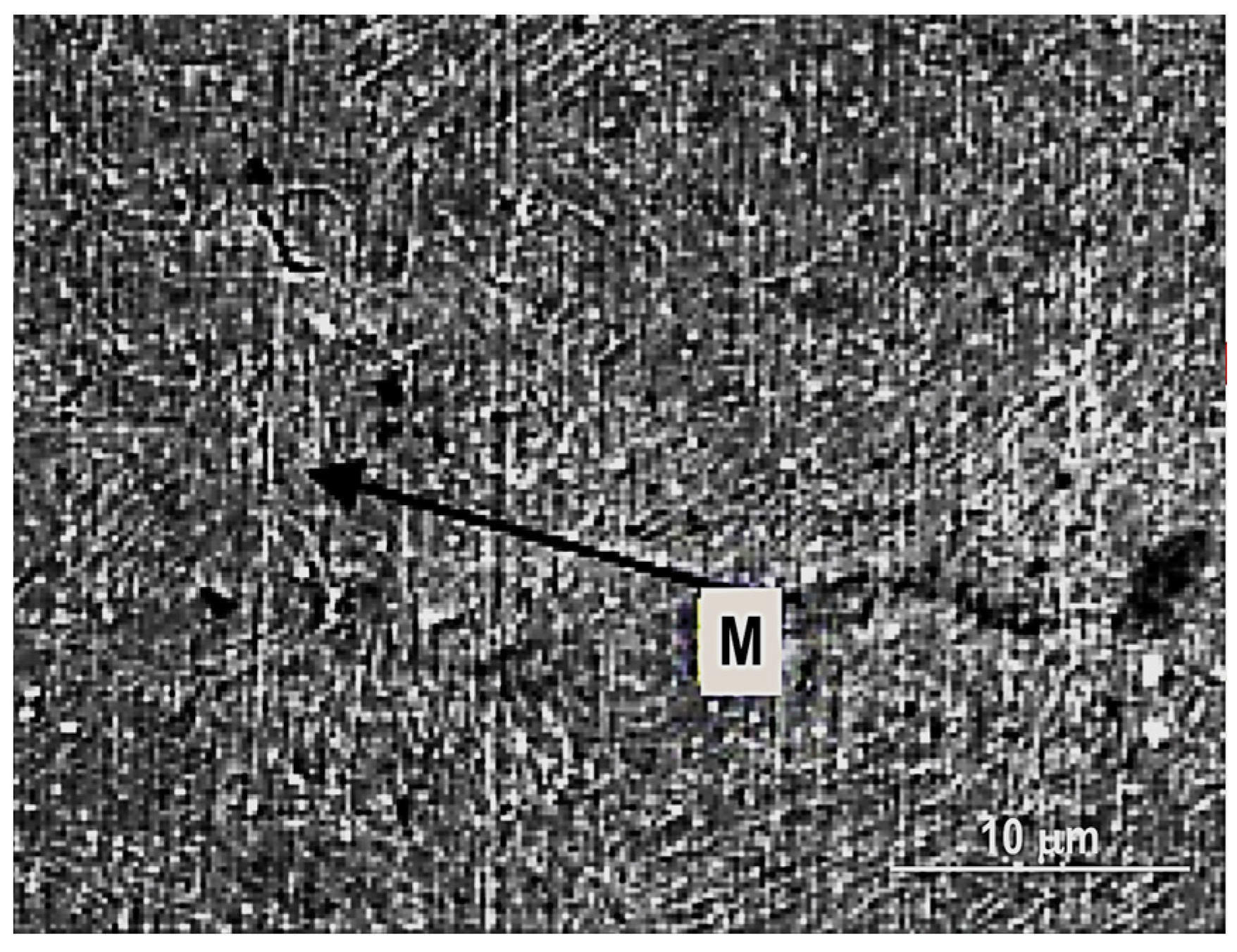 Materials 16 07054 g018