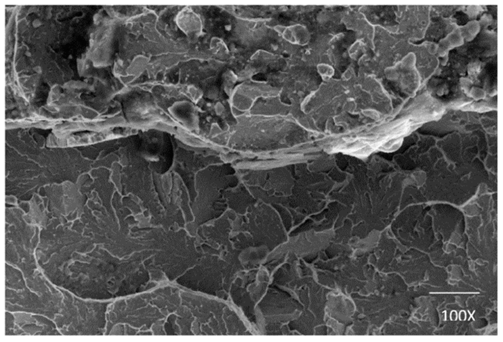 Materials 16 07054 g019