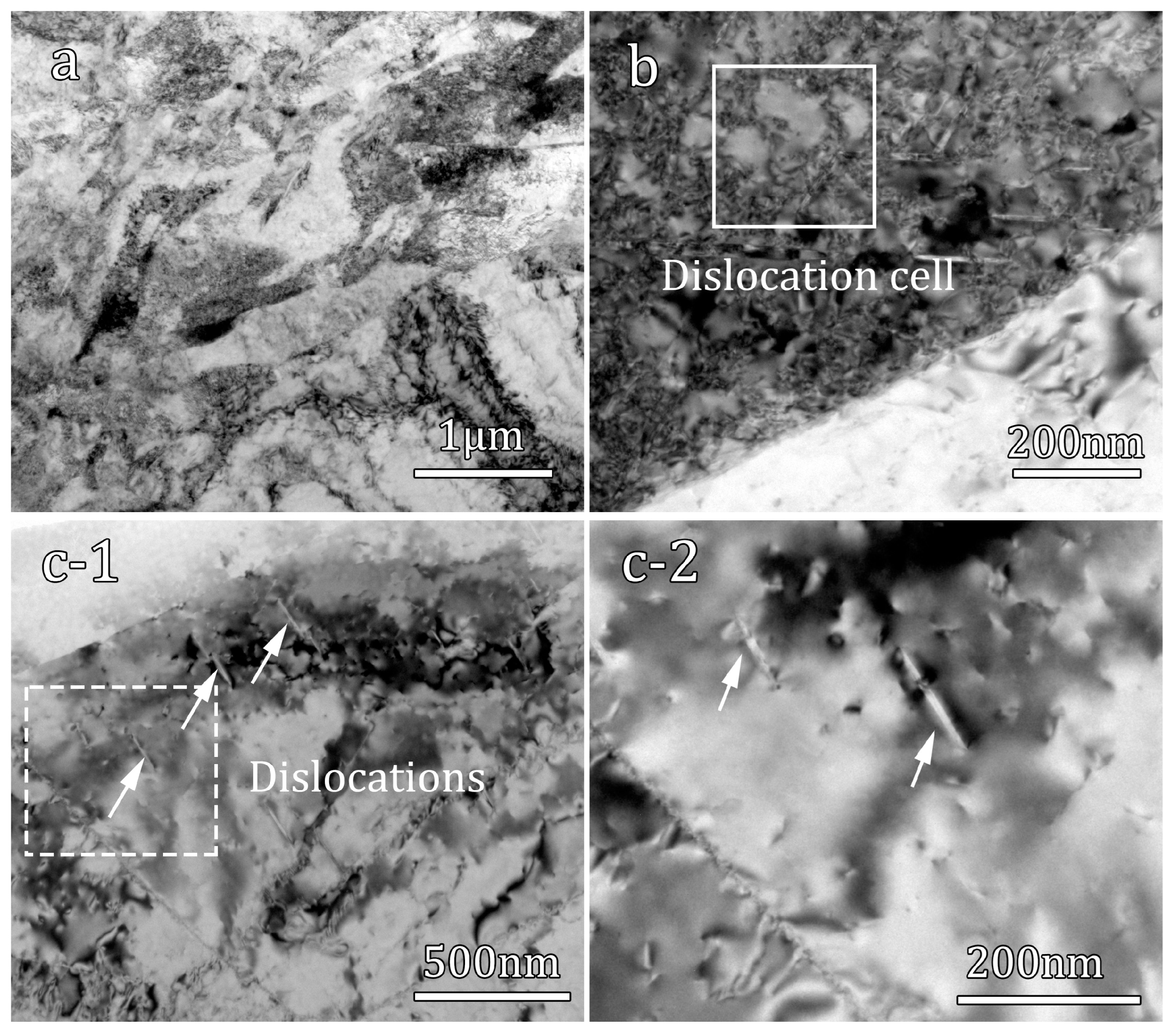 Materials 16 07059 g007