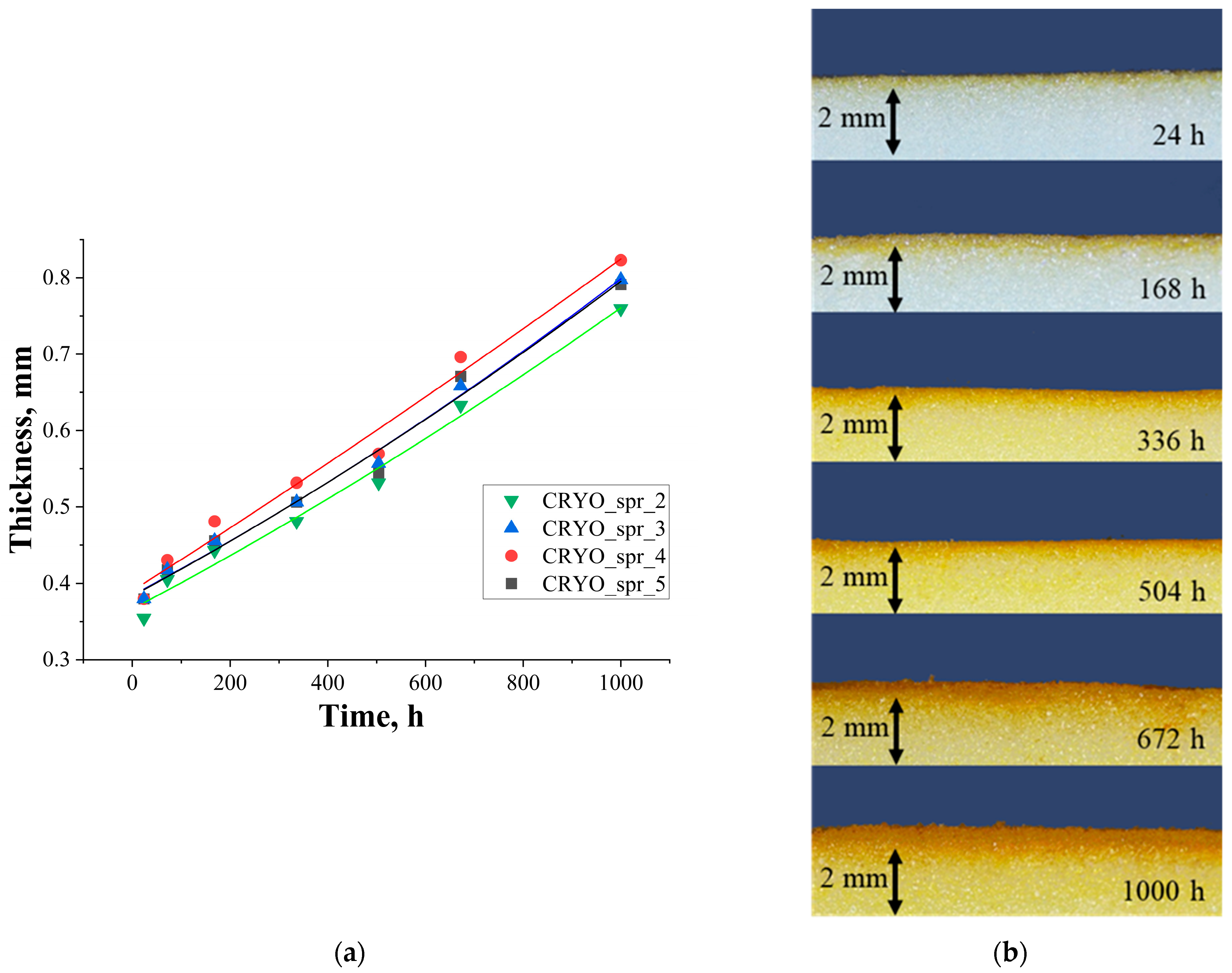 Materials 16 07071 g009