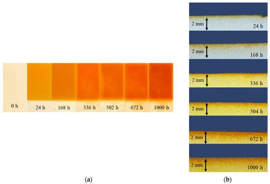 Materials 16 07071 g0a2