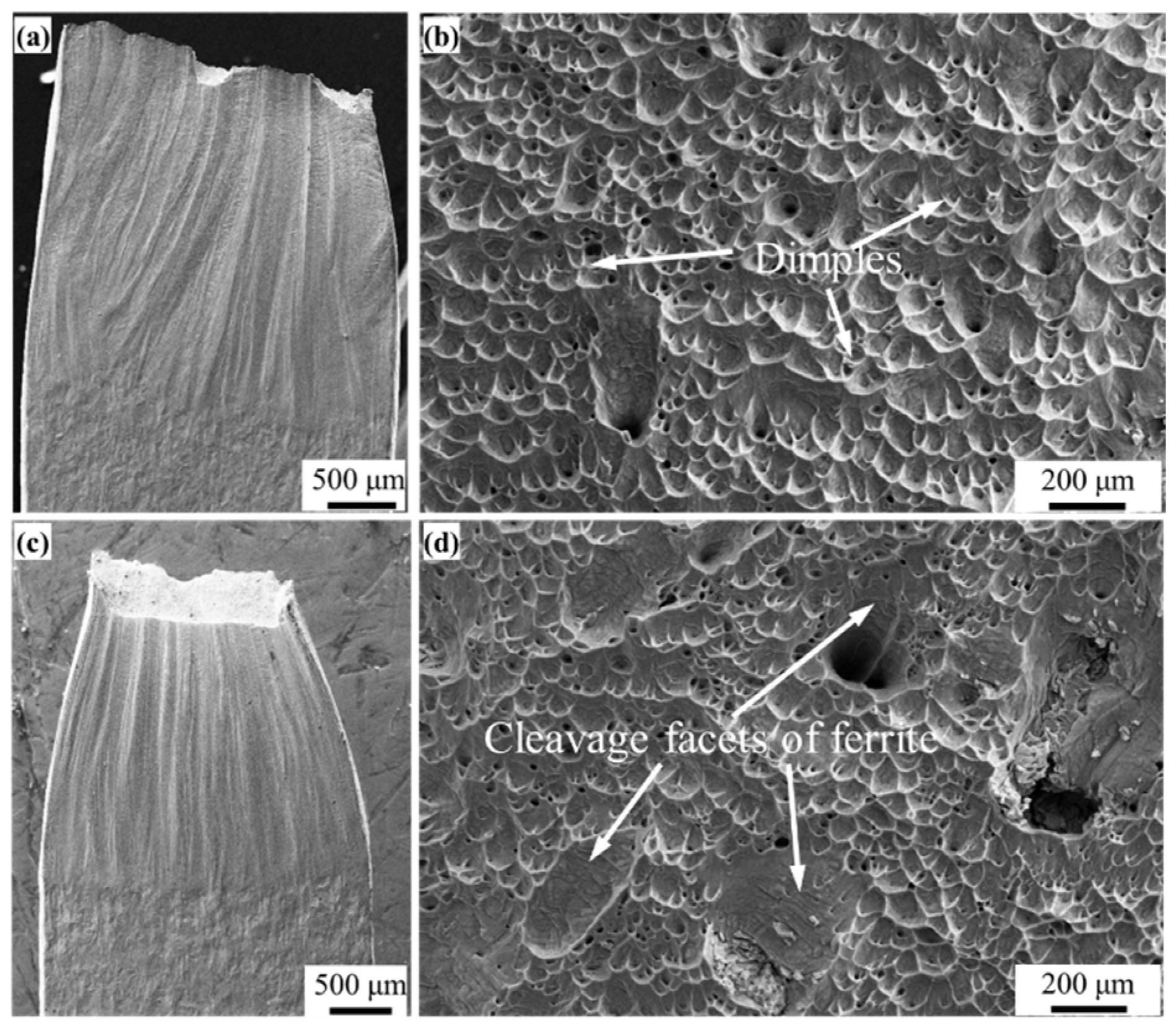 Materials 16 07119 g008 Materials 16 07119 g008