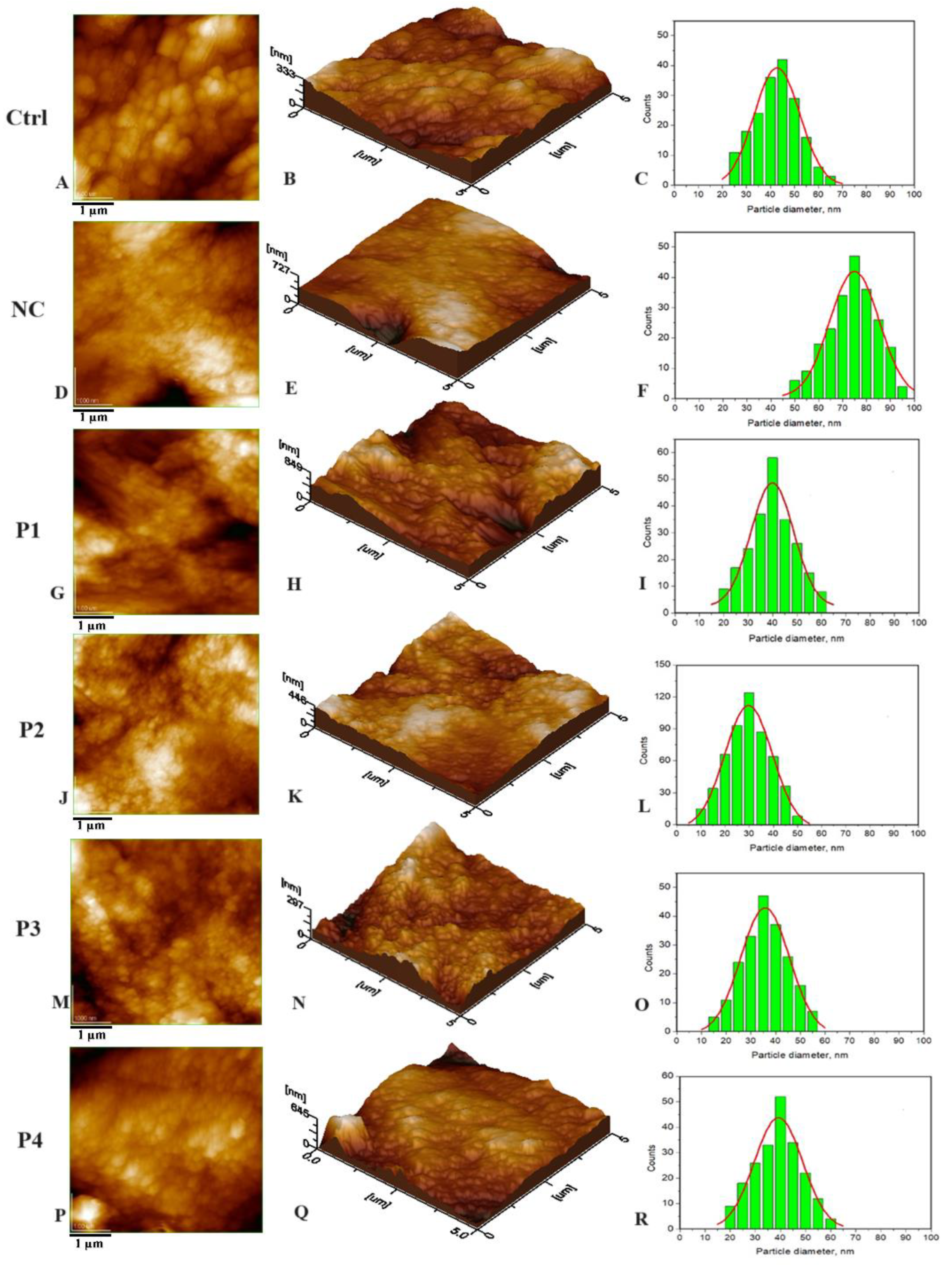 Materials 16 07143 g001 Materials 16 07143 g001