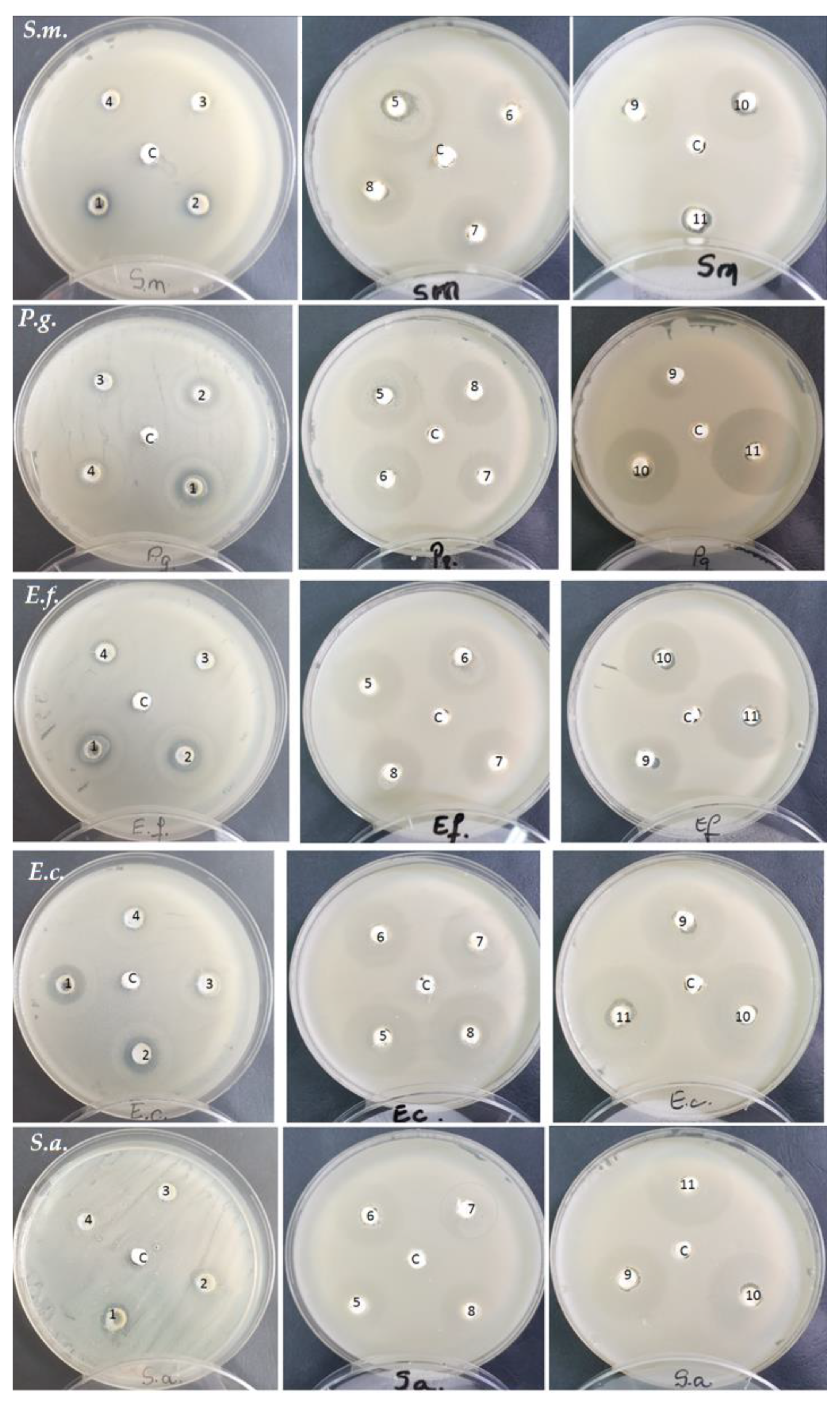 Materials 16 07143 g003 Materials 16 07143 g003