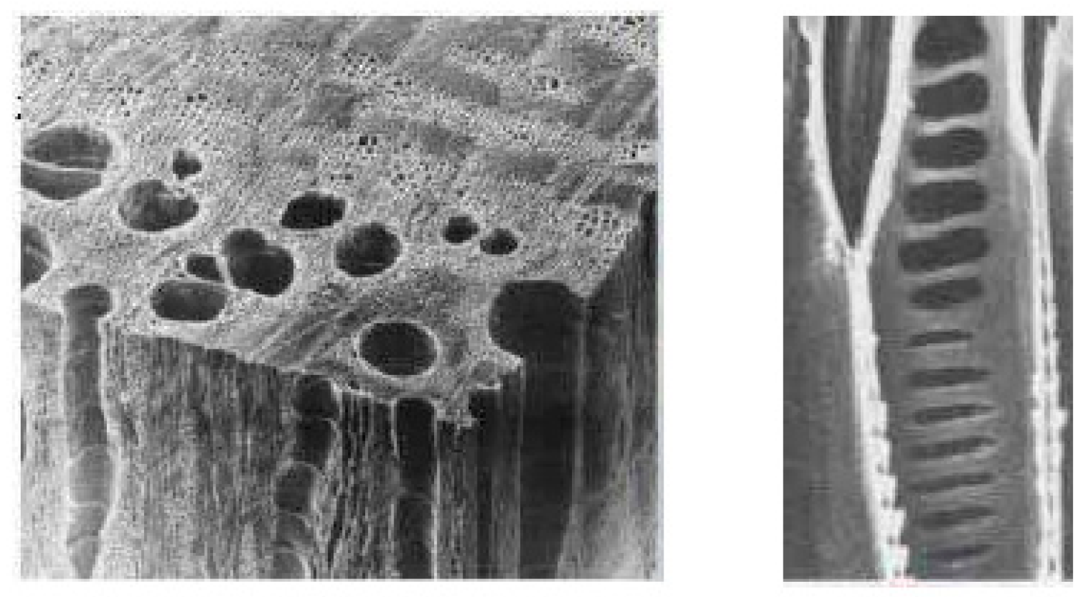 Materials 16 07148 g002