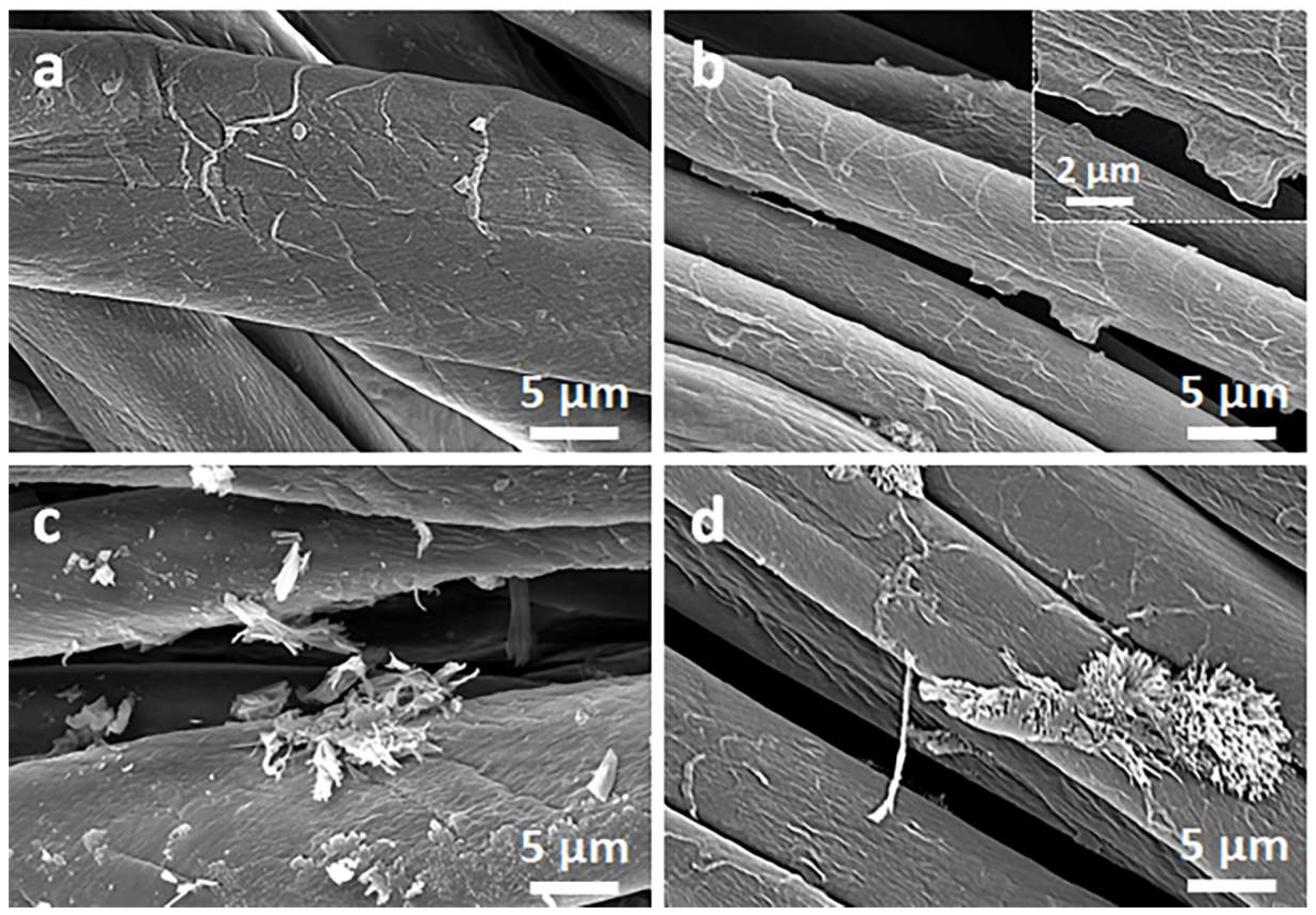 Materials 16 07184 g002