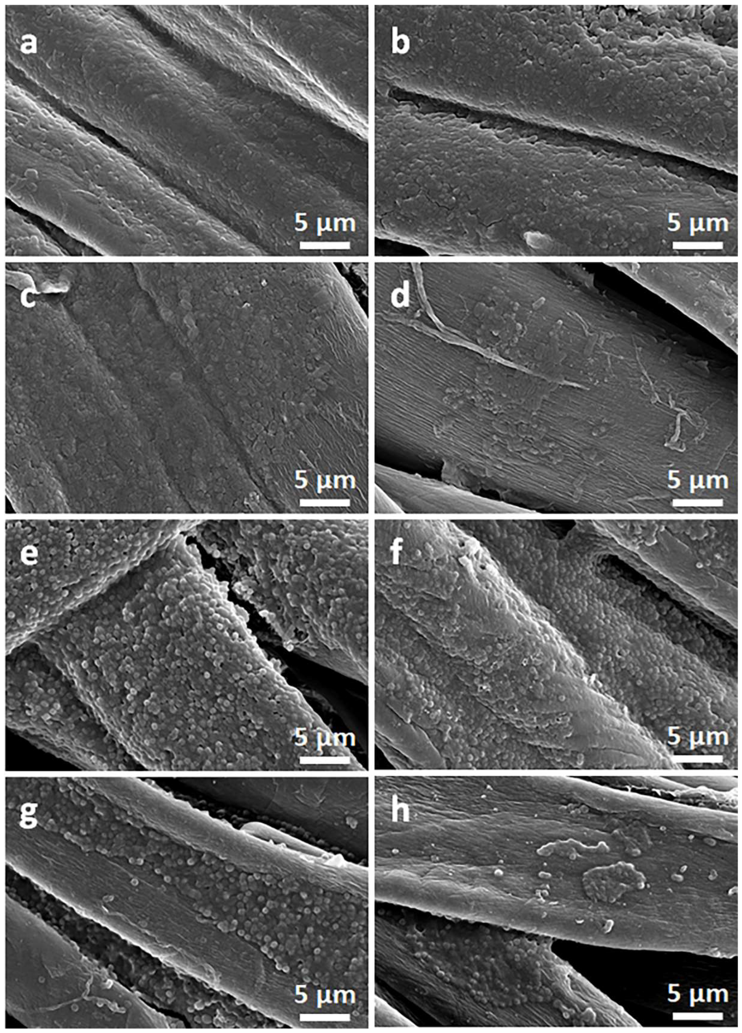 Materials 16 07184 g010
