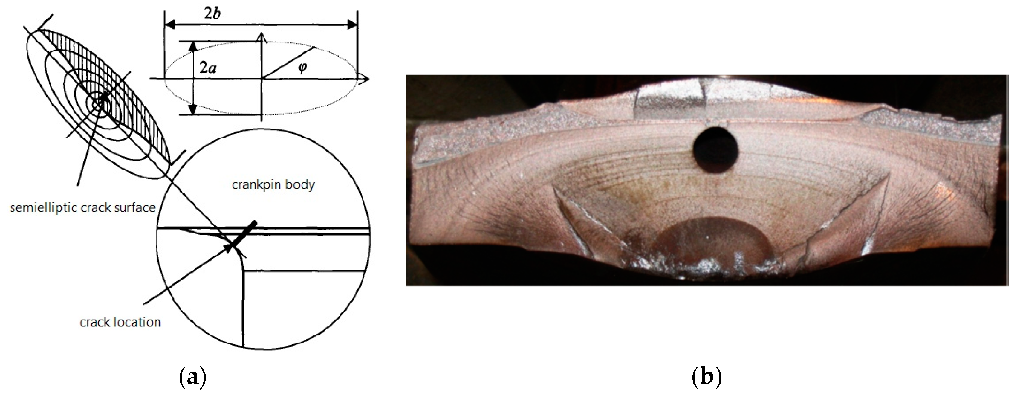 Materials 16 07186 g003