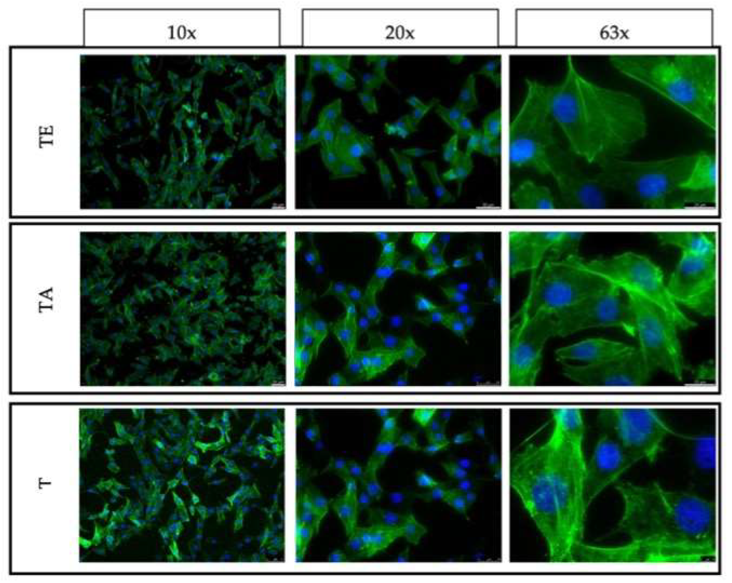 Materials 16 07188 g012