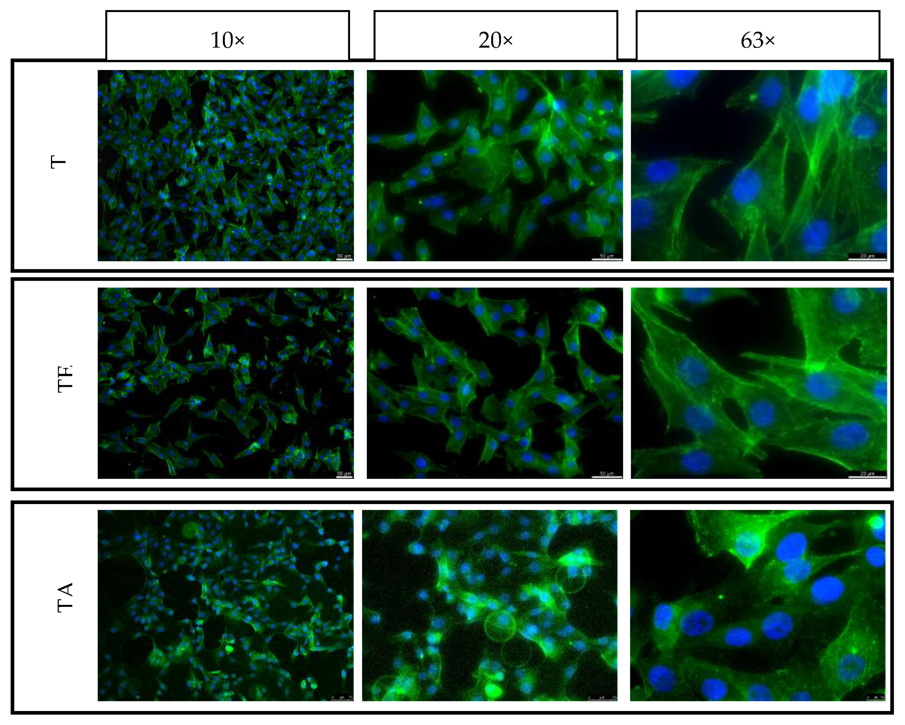 Materials 16 07188 g013