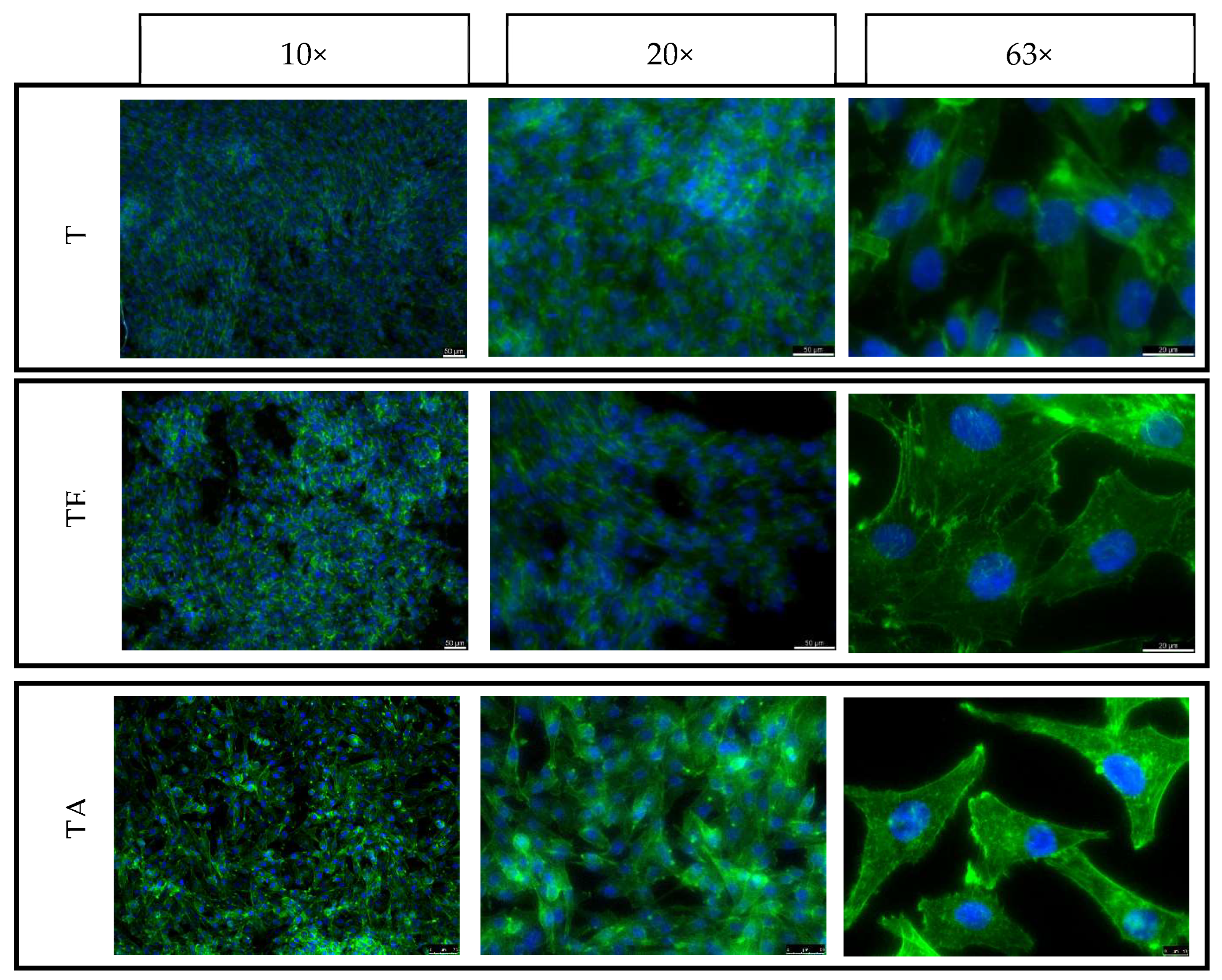 Materials 16 07188 g015