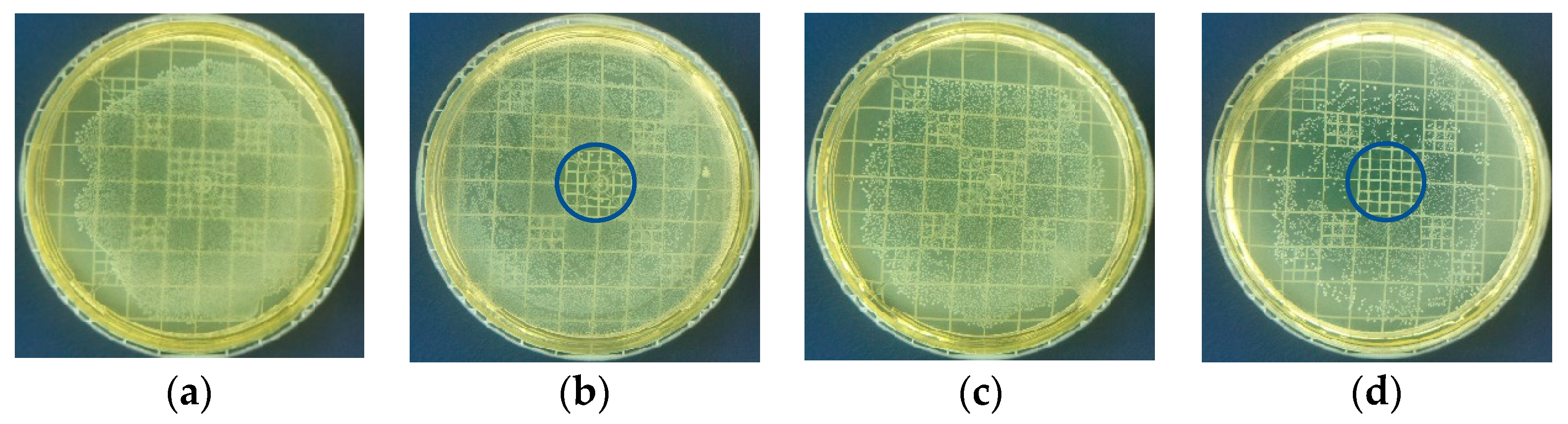 Materials 16 07204 g008