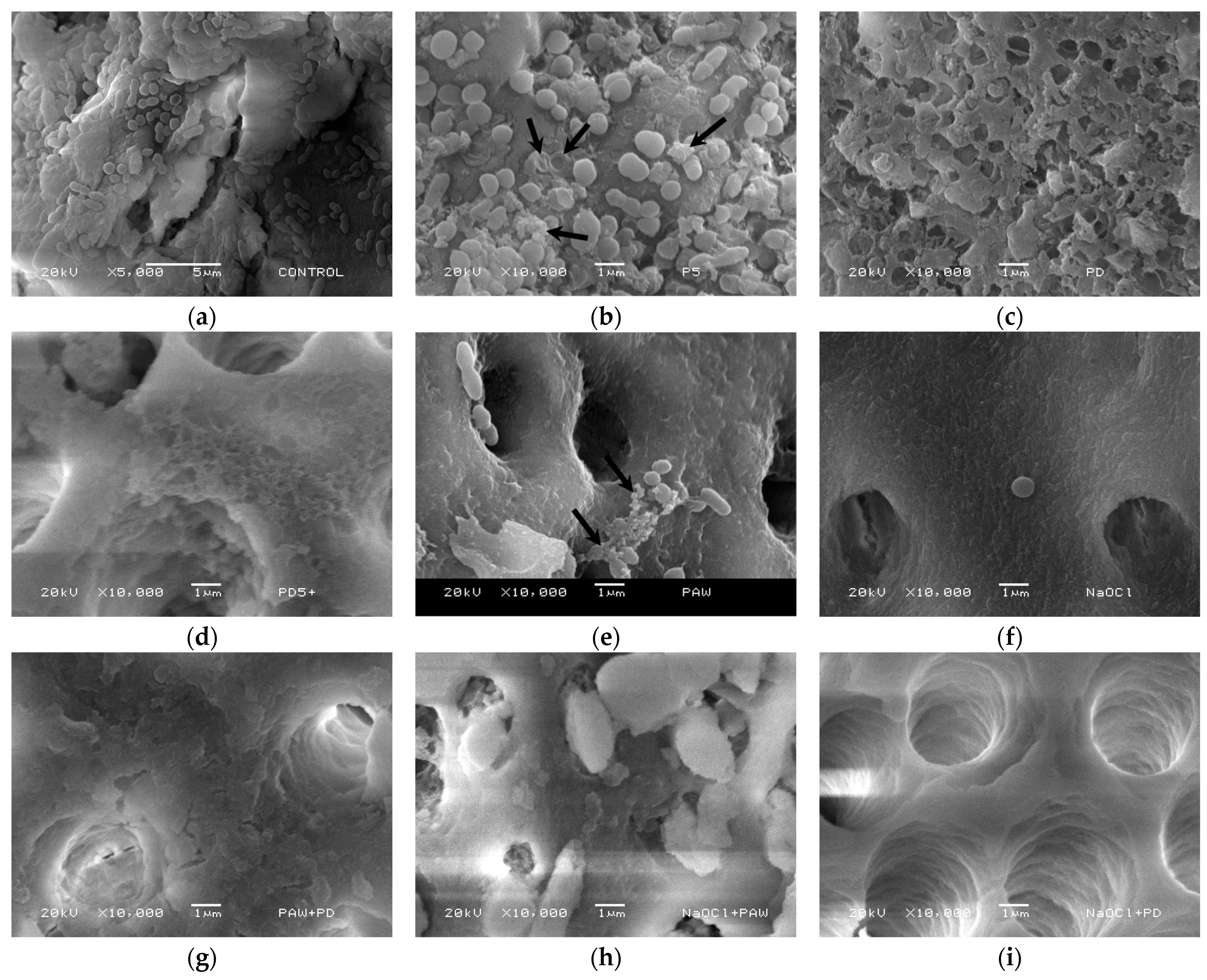 Materials 16 07204 g010