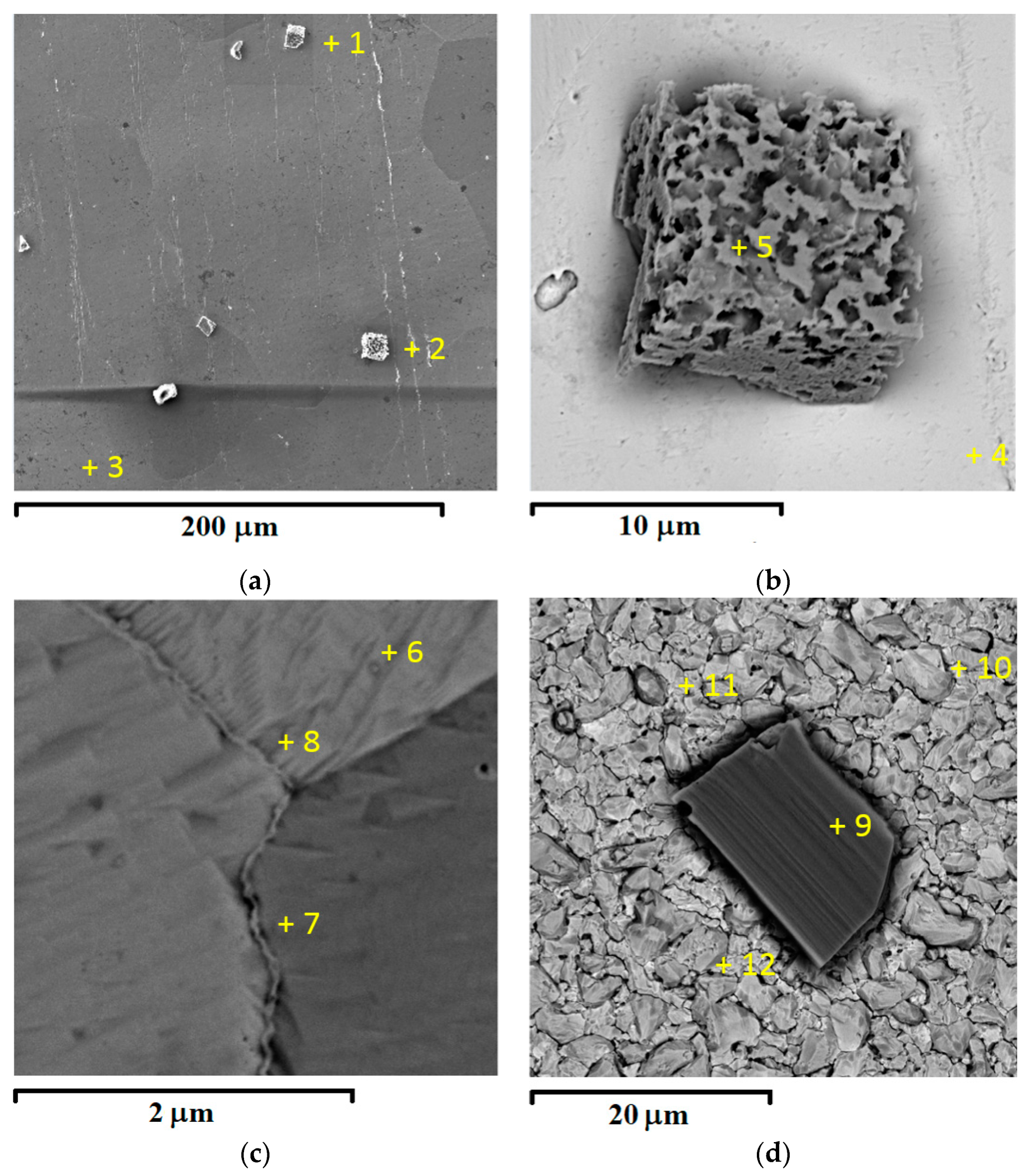 Materials 16 07207 g003 Materials 16 07207 g003