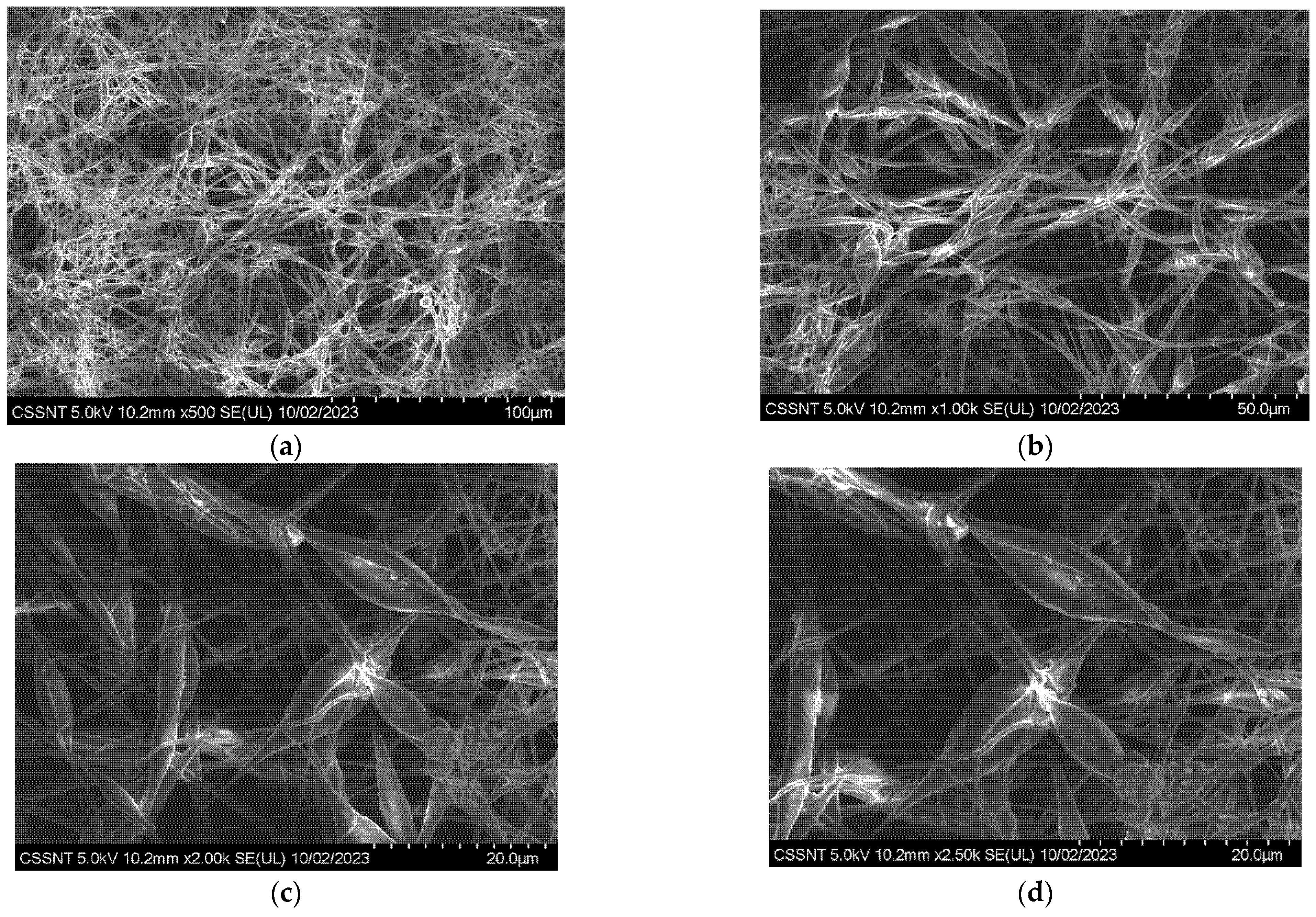 Materials 16 07237 g003