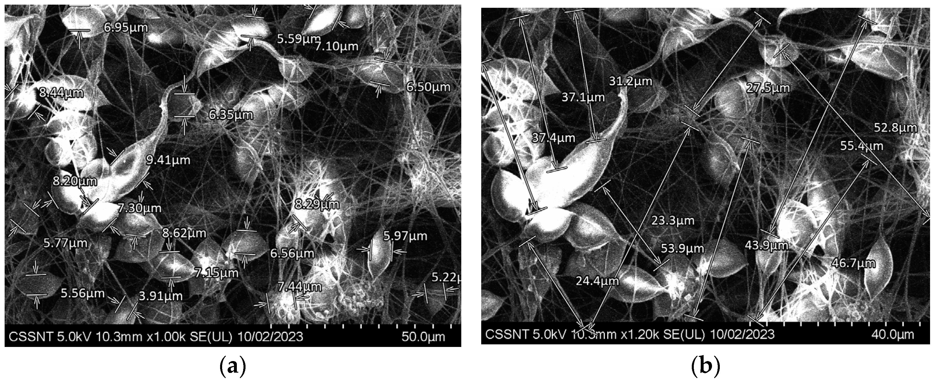 Materials 16 07237 g007