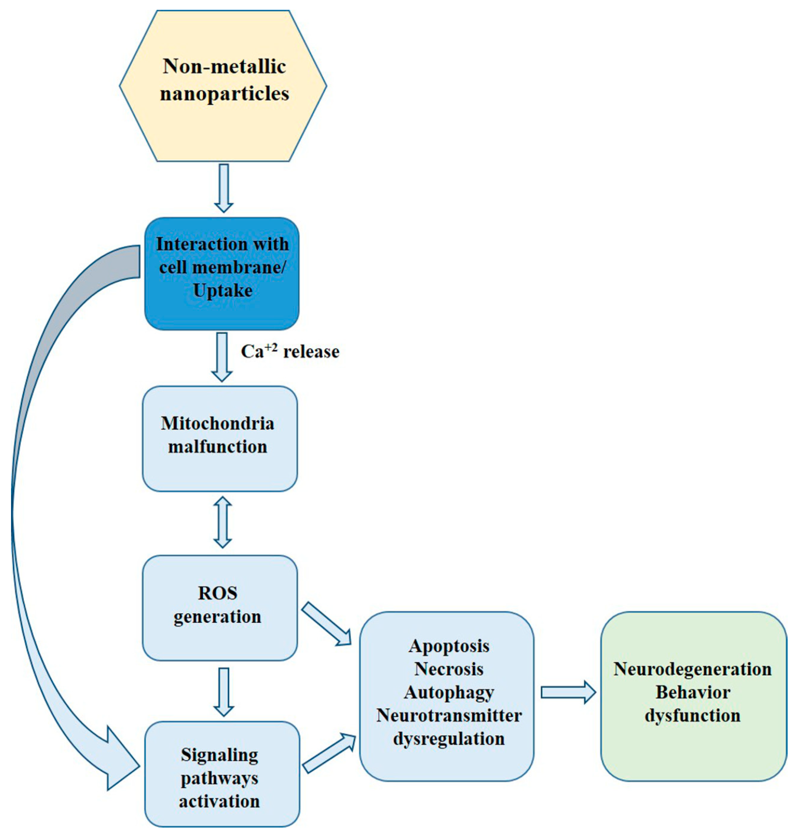 Materials 16 07264 g001