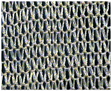 Materials 16 07276 i005