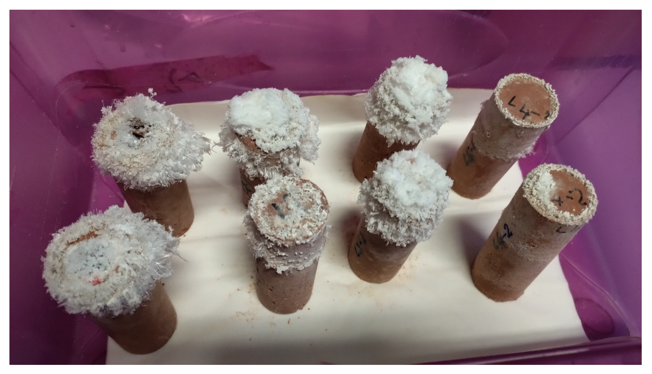 Materials 16 07304 g006