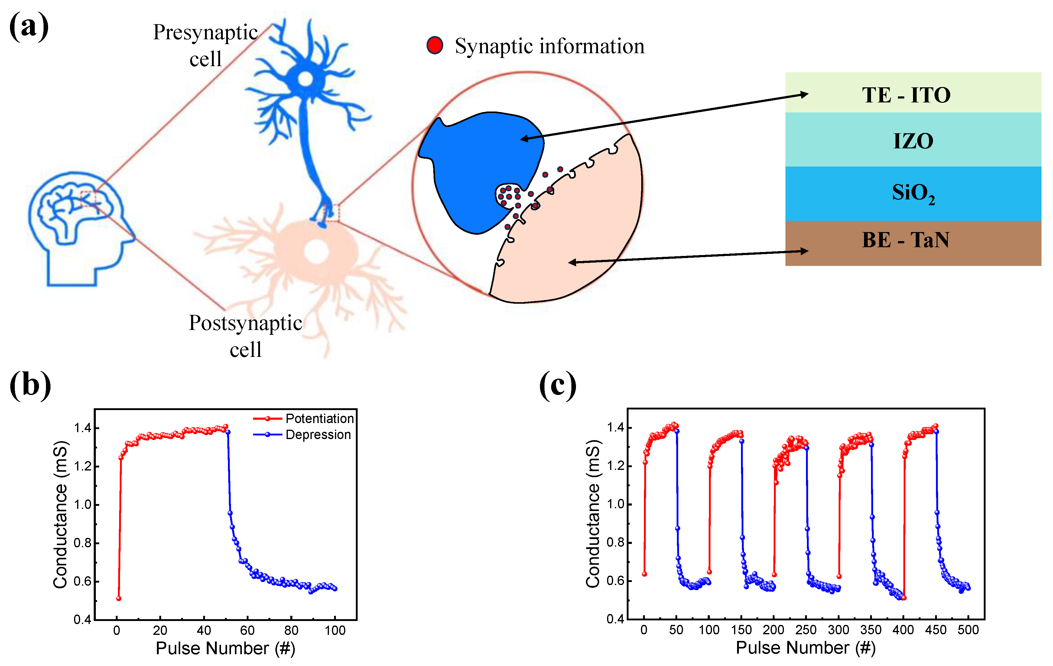 Materials 16 07324 g006