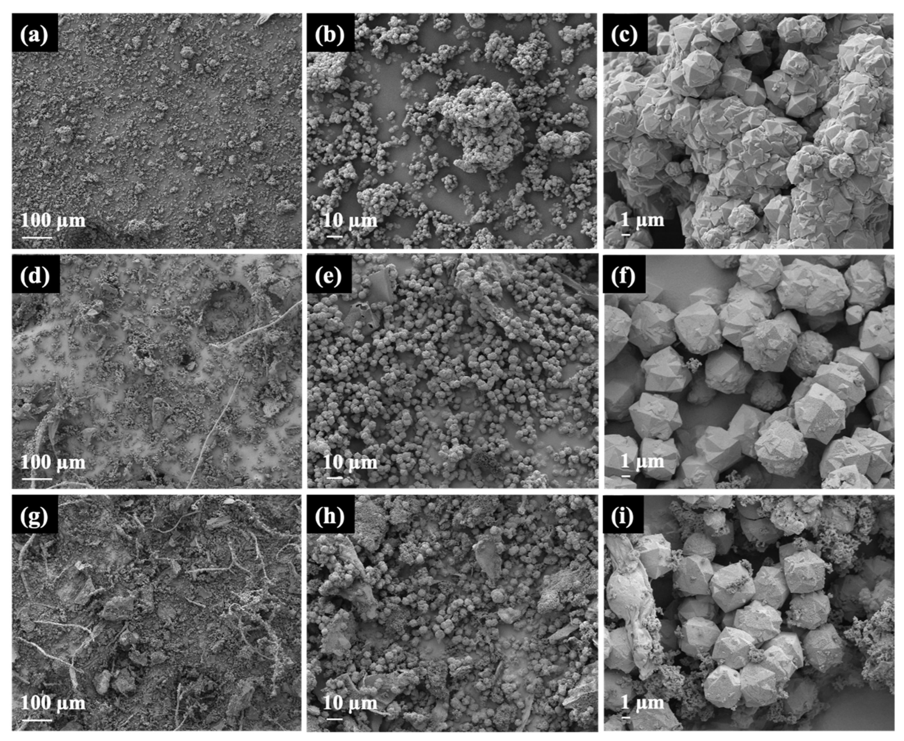 Materials 16 07330 g004