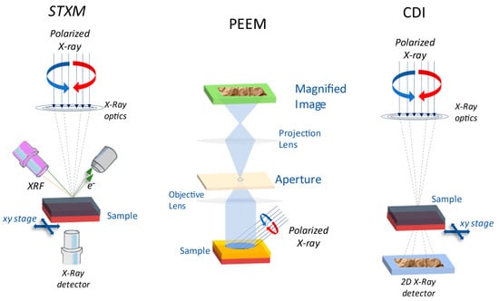 Materials 16 07331 g011