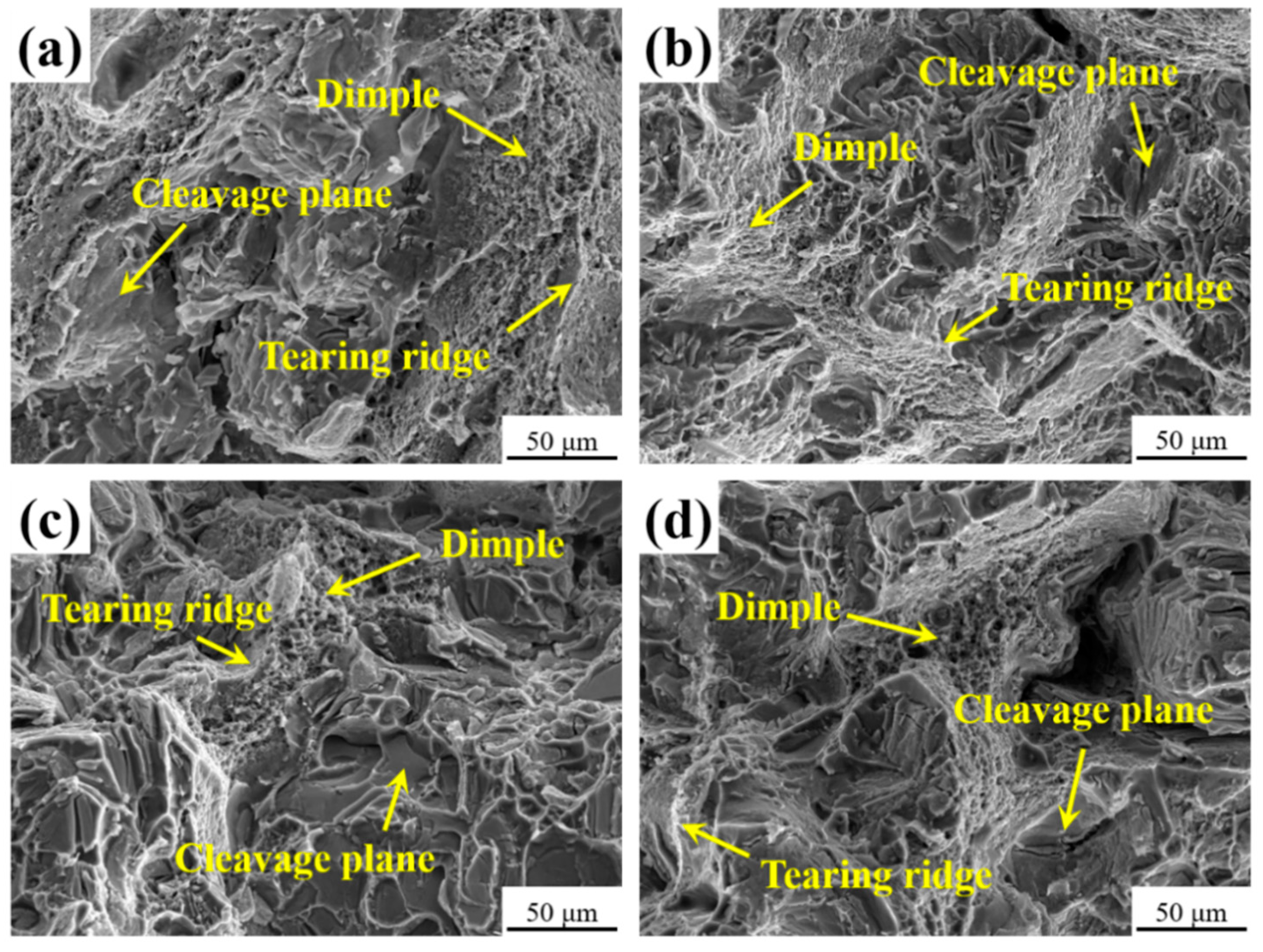 Materials 16 07332 g010