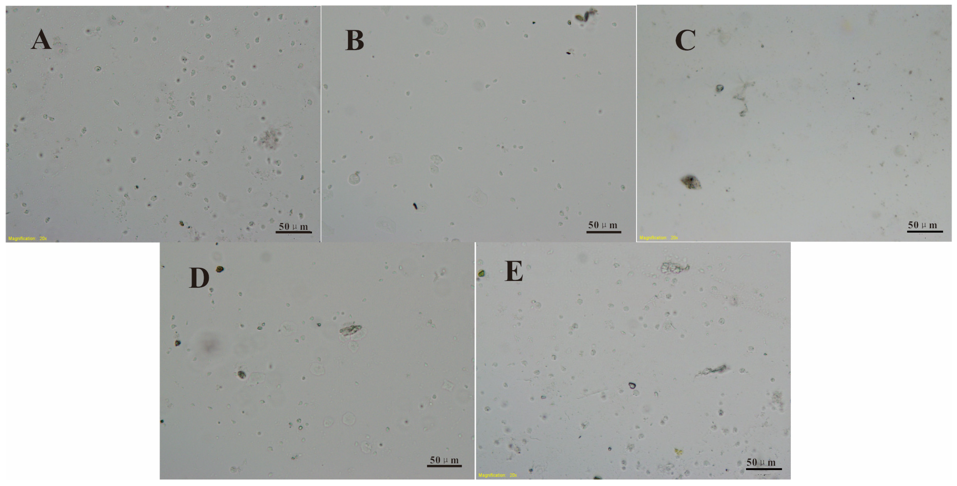 Materials 16 07367 g006