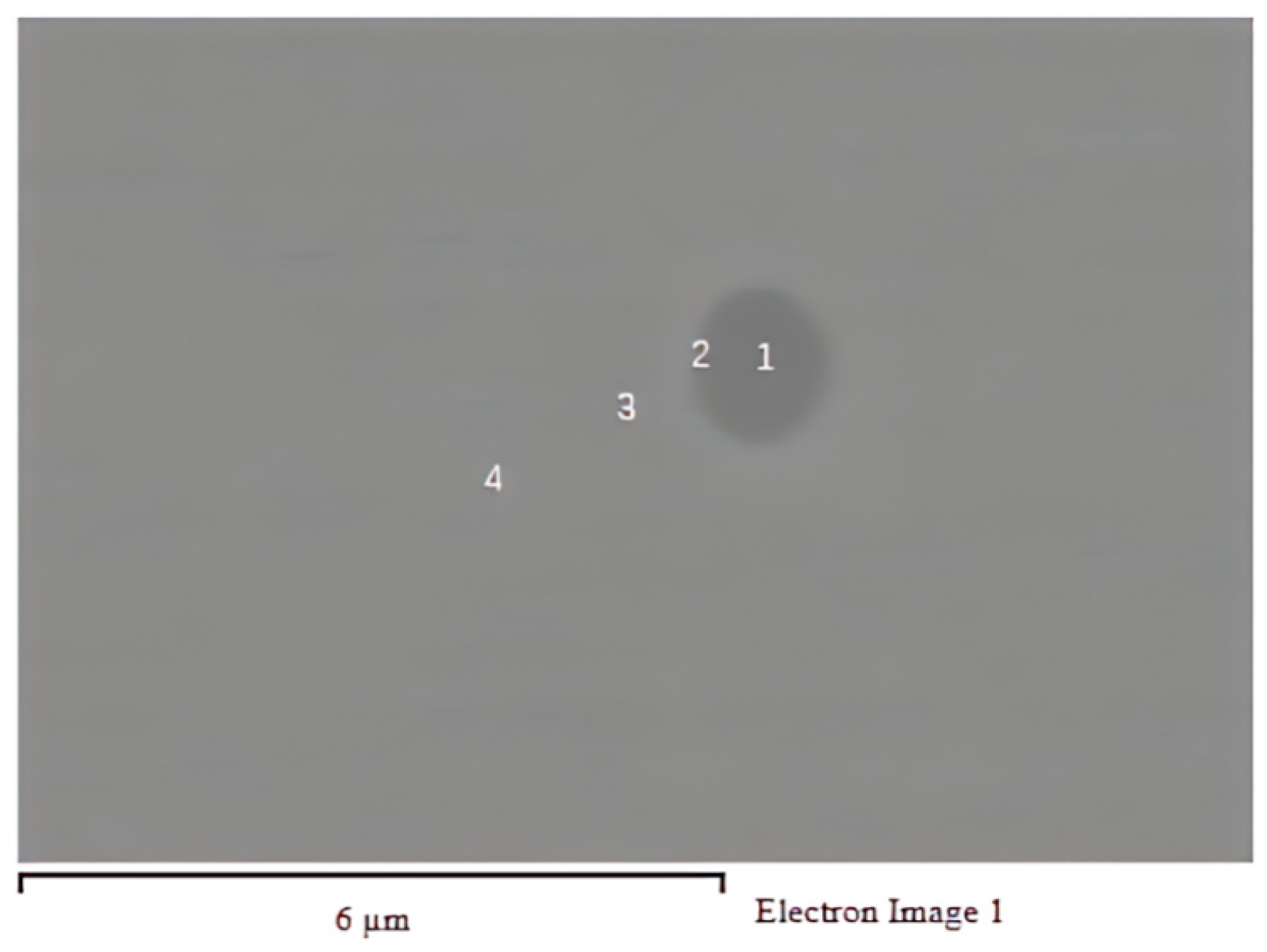 Materials 16 07369 g010