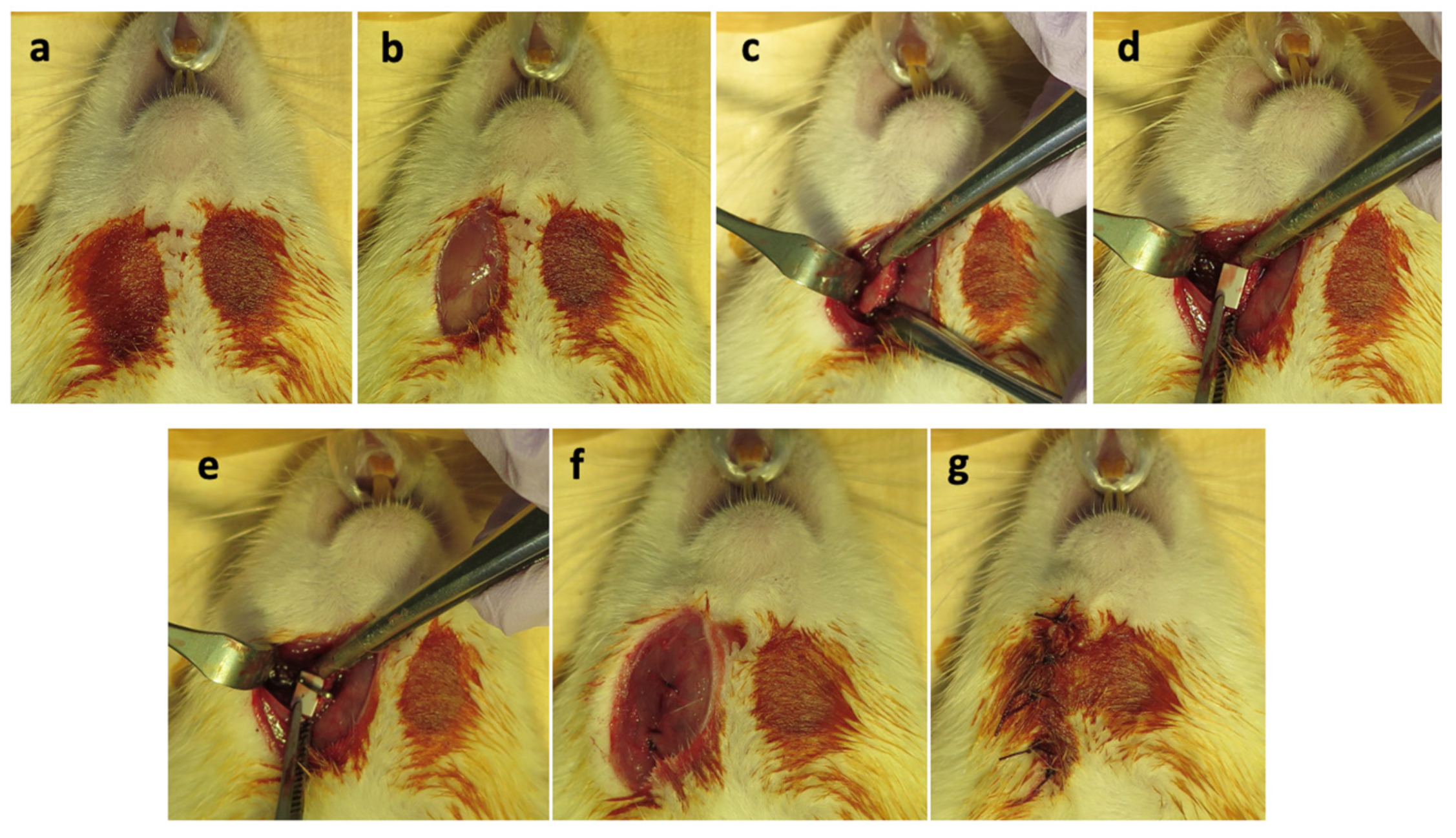 Materials 16 07379 g004