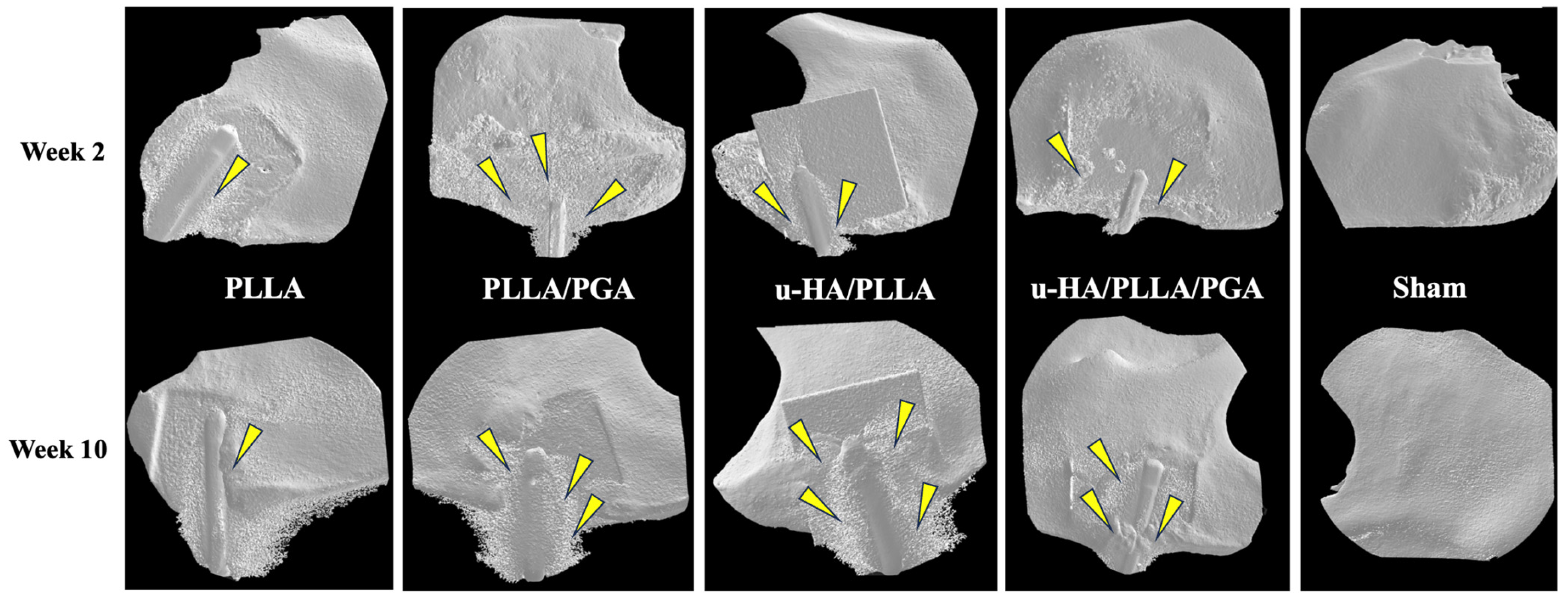 Materials 16 07379 g007