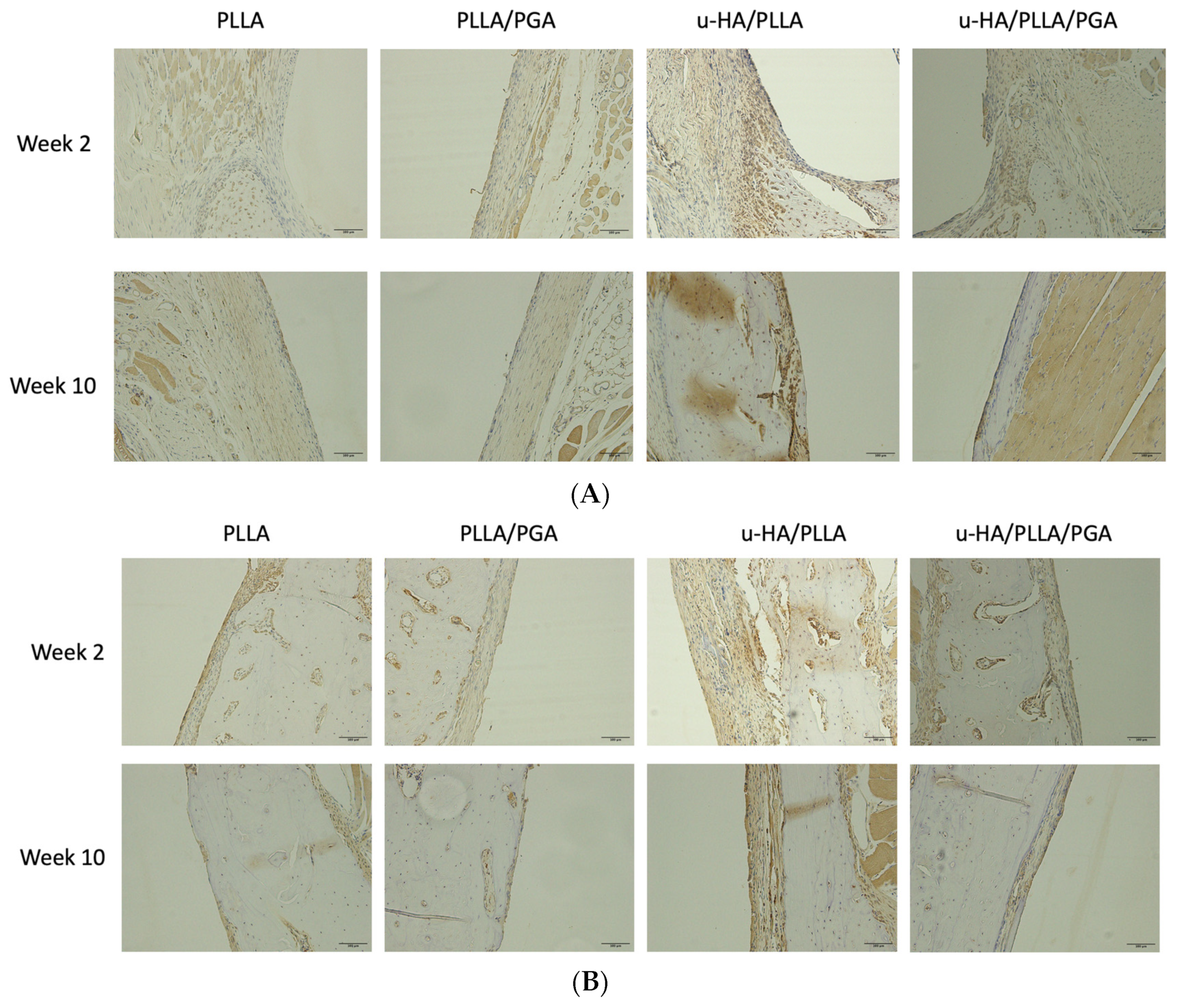 Materials 16 07379 g010