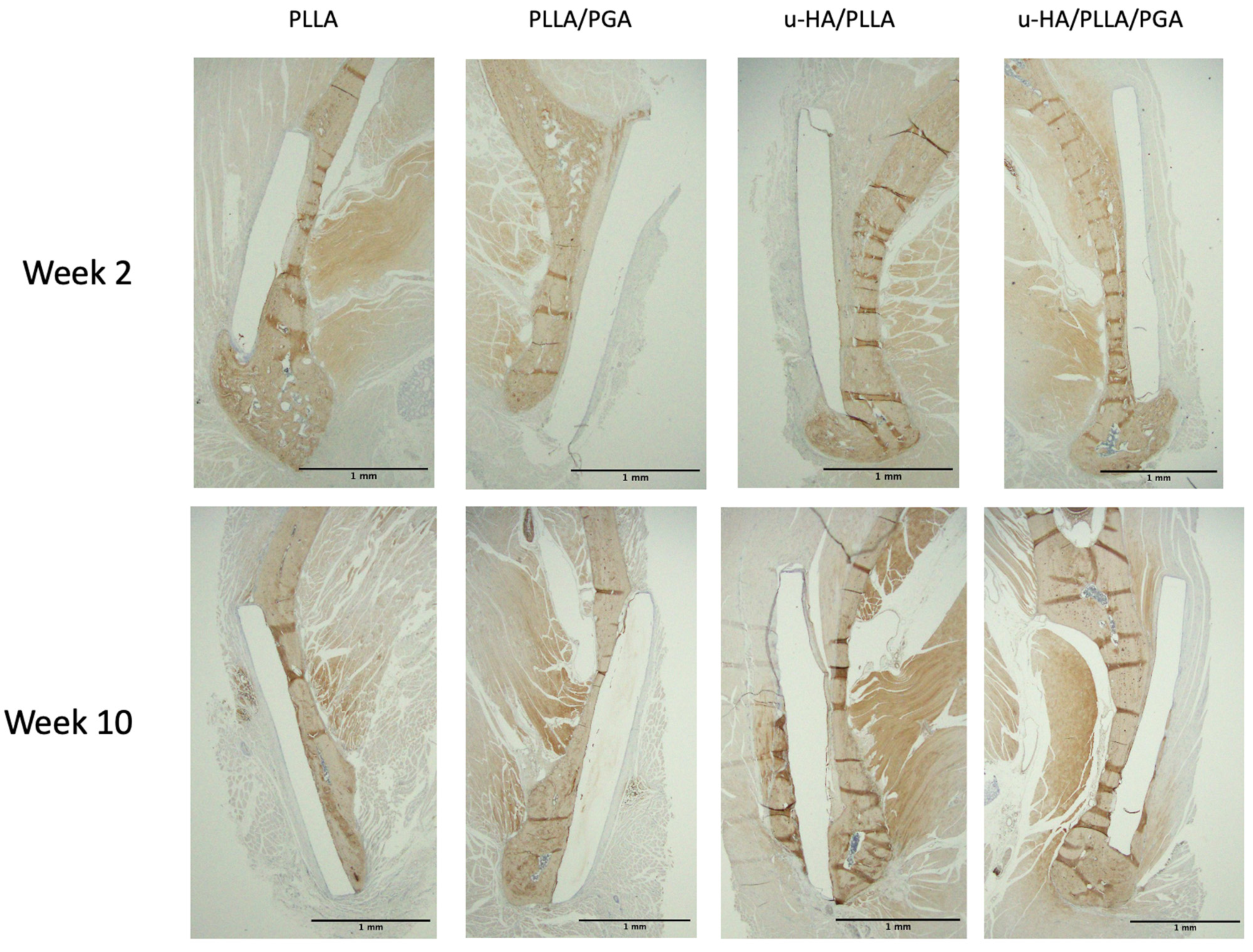 Materials 16 07379 g012