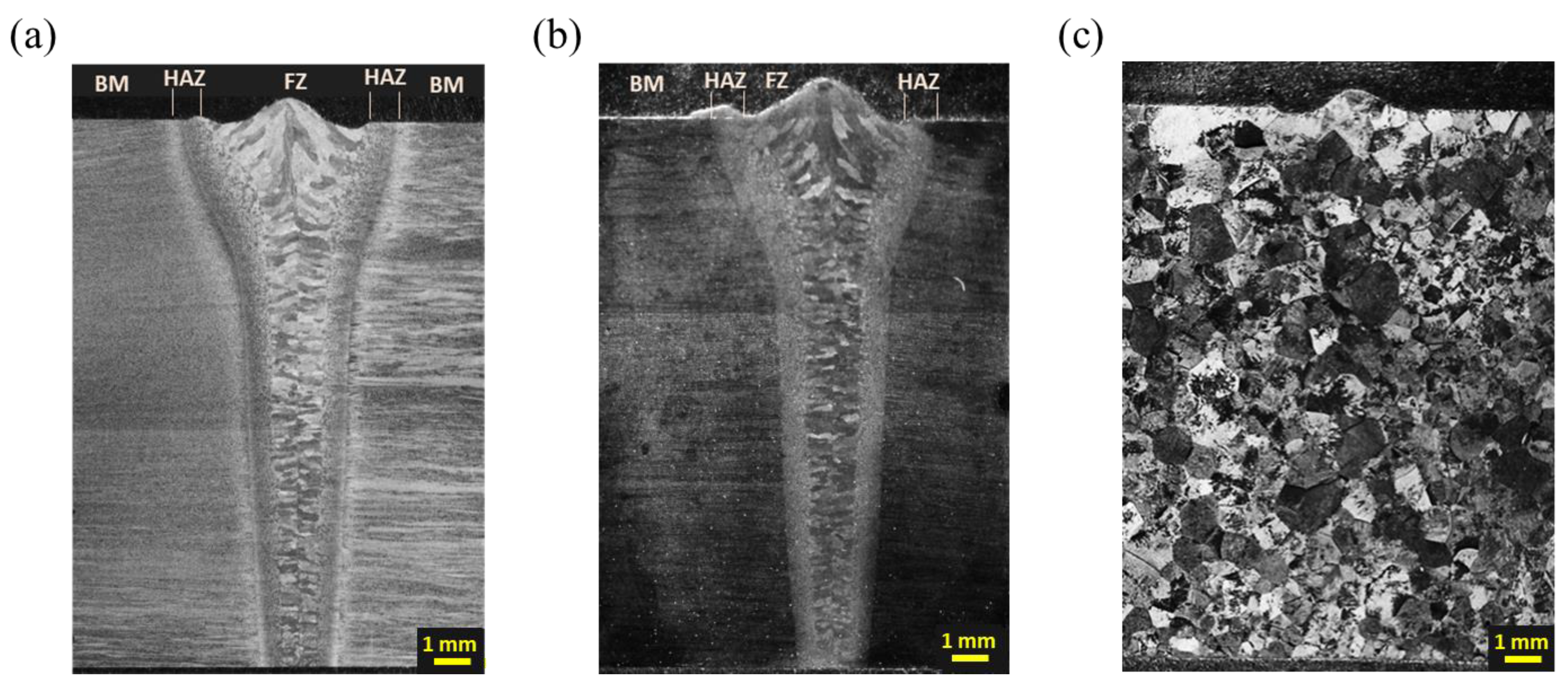 Materials 16 07423 g004