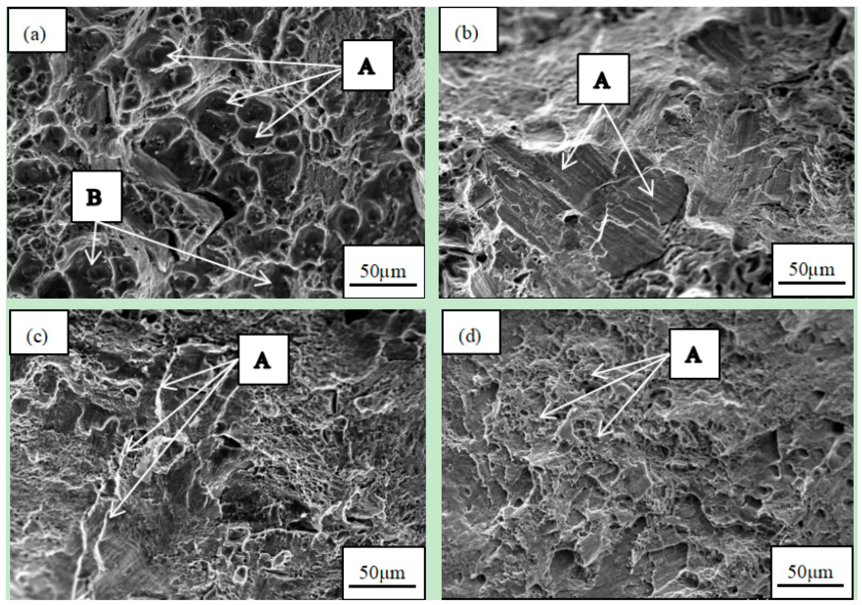 Materials 16 07424 g005