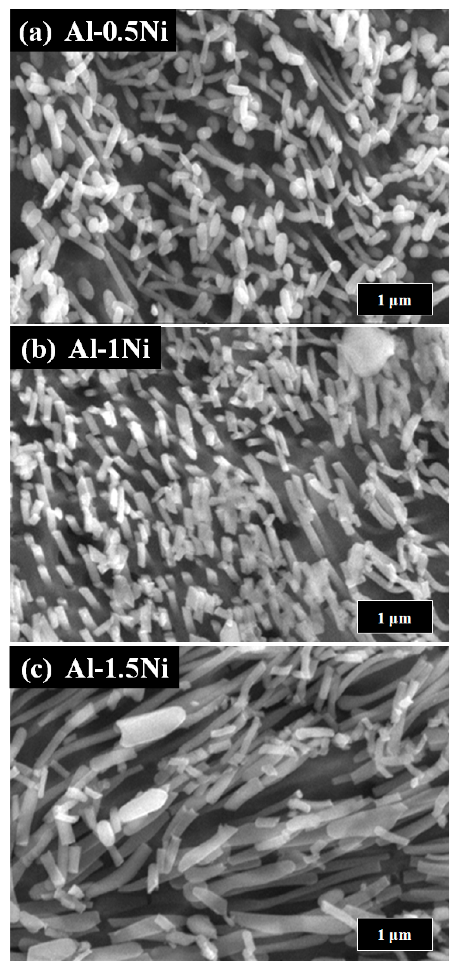 Materials 16 07425 g003