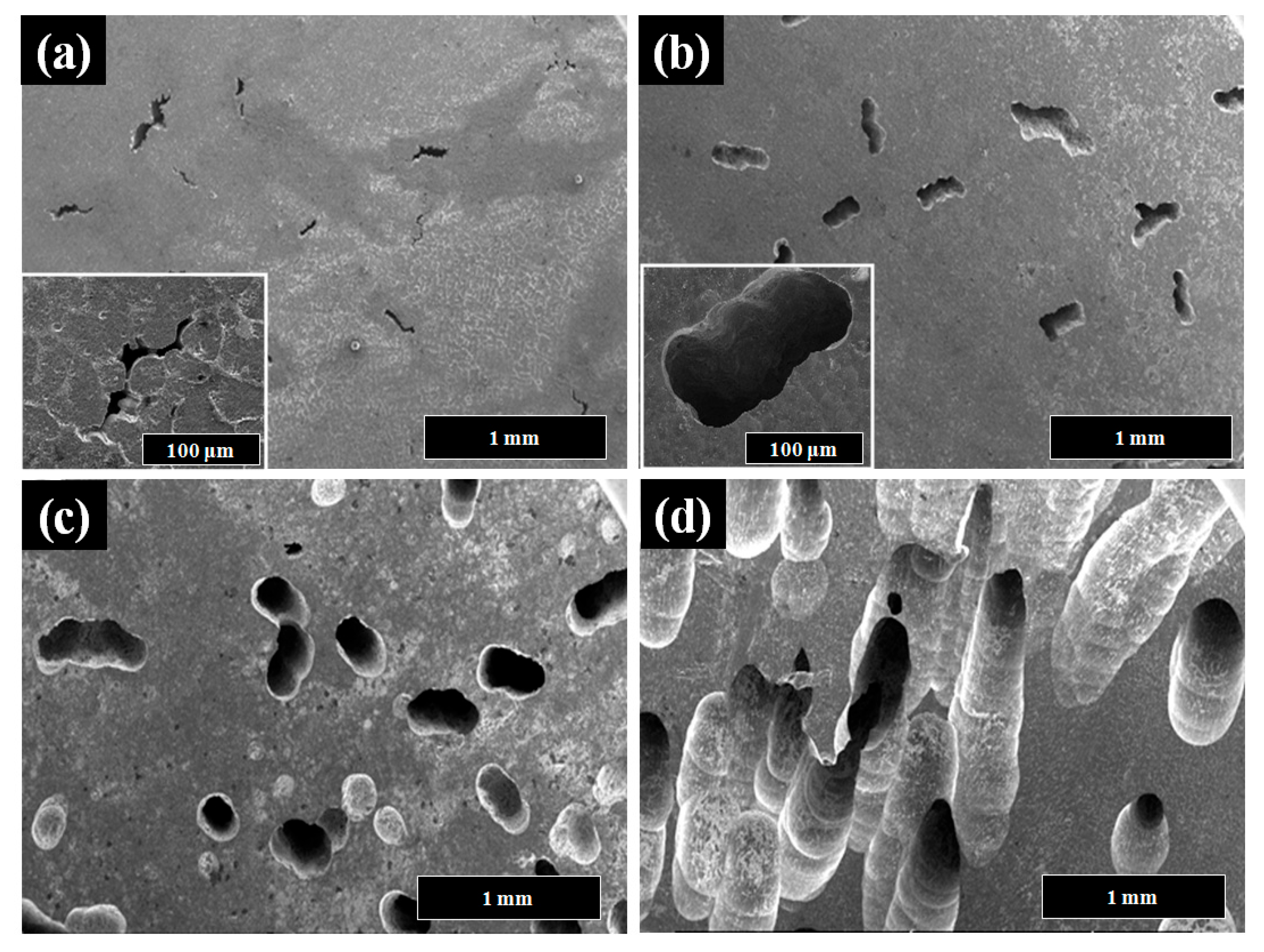 Materials 16 07425 g006