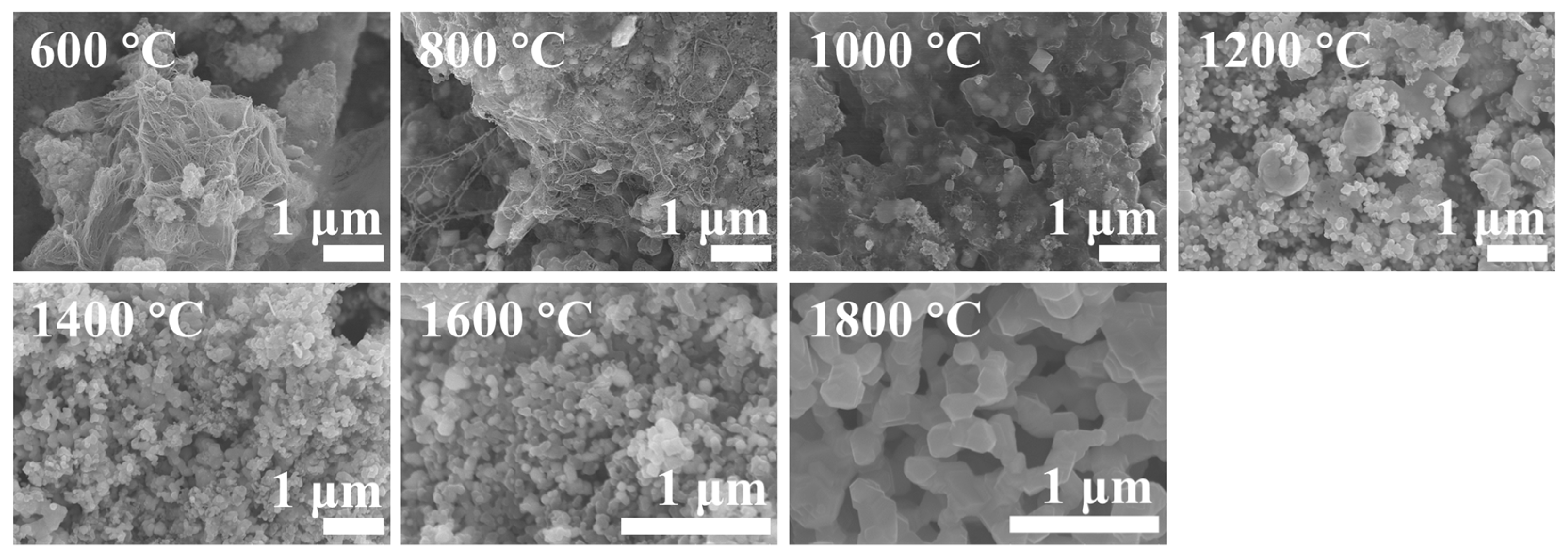 Materials 16 07431 g006