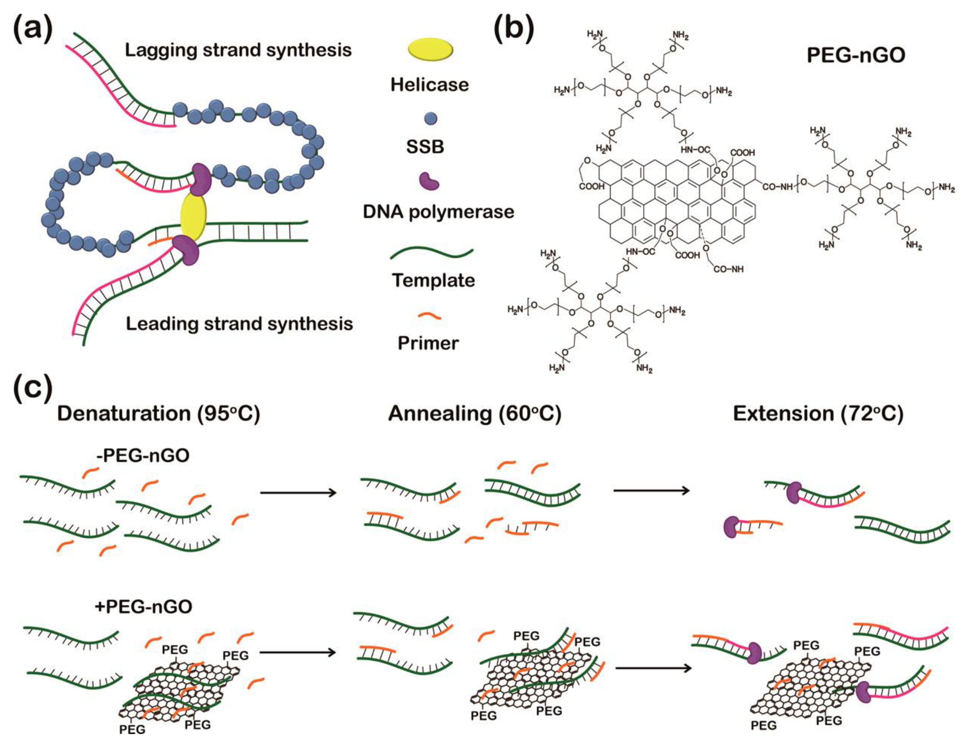 Materials 16 07434 g010